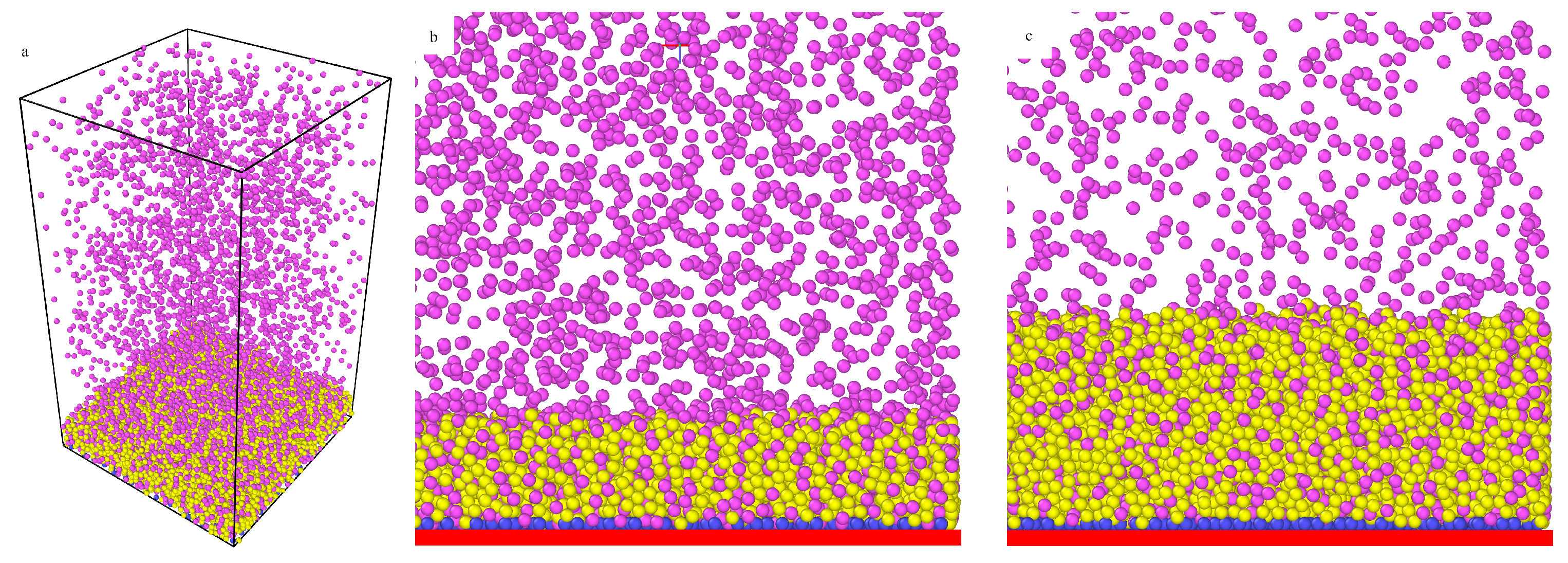 Ijms 22 08810 g006 Ijms 22 08810 g006