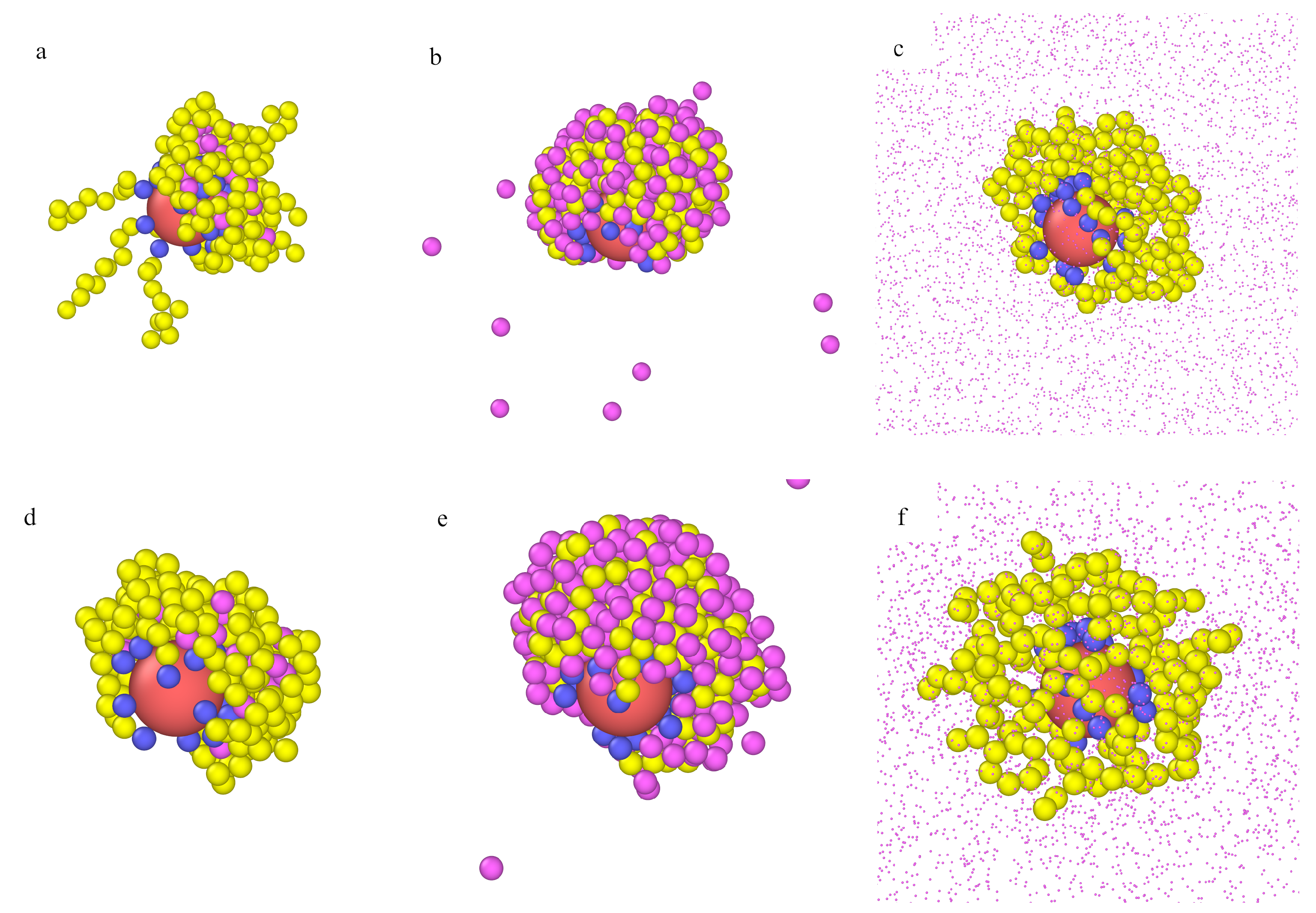 Ijms 22 08810 g010 Ijms 22 08810 g010