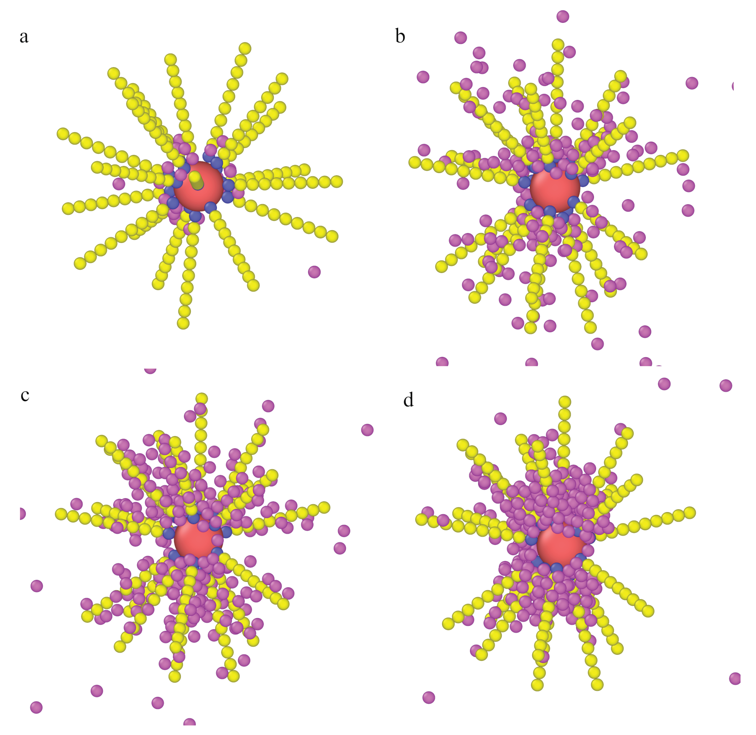 Ijms 22 08810 g011 Ijms 22 08810 g011