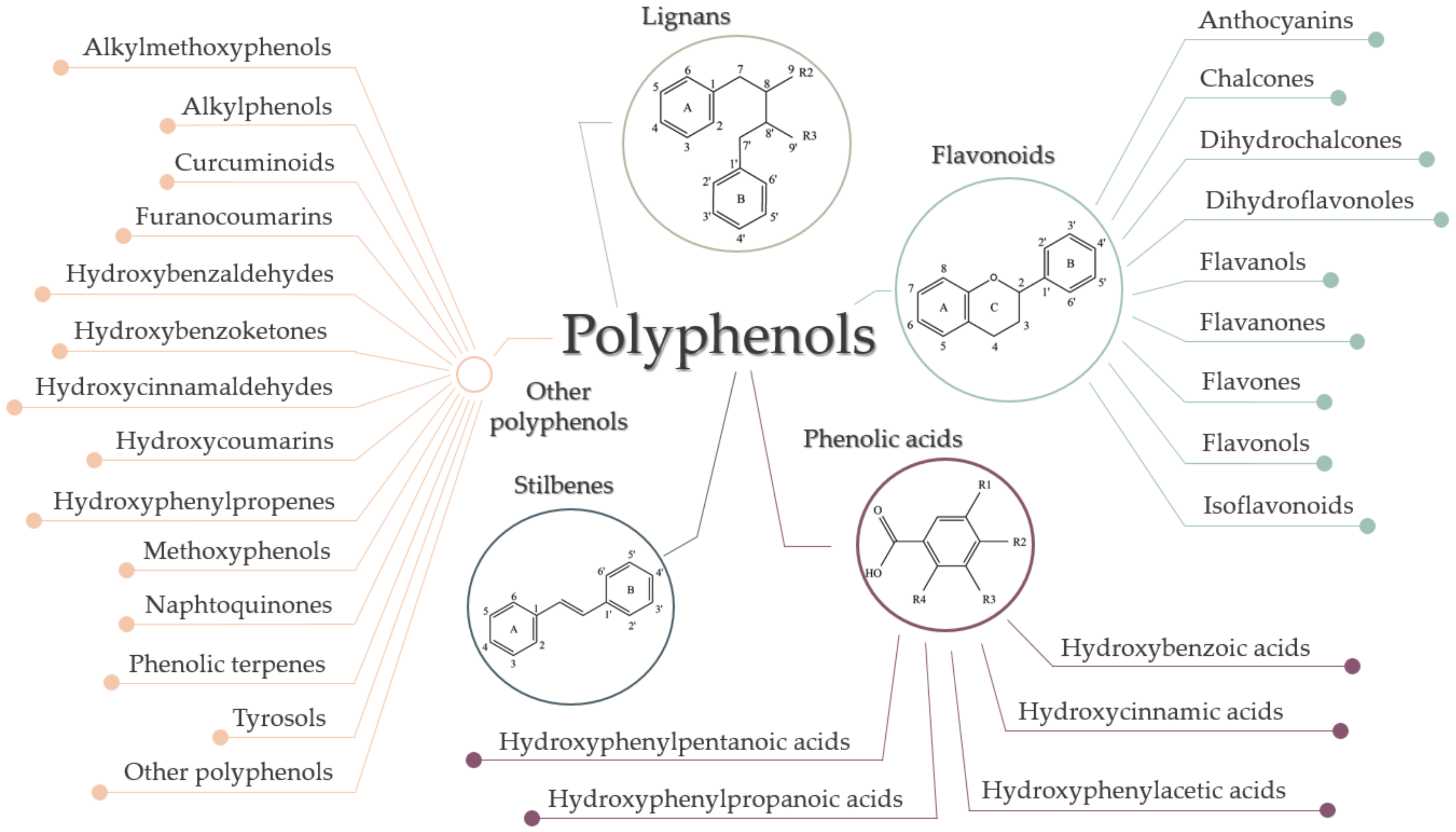 Ijms 22 08812 g005 Ijms 22 08812 g005