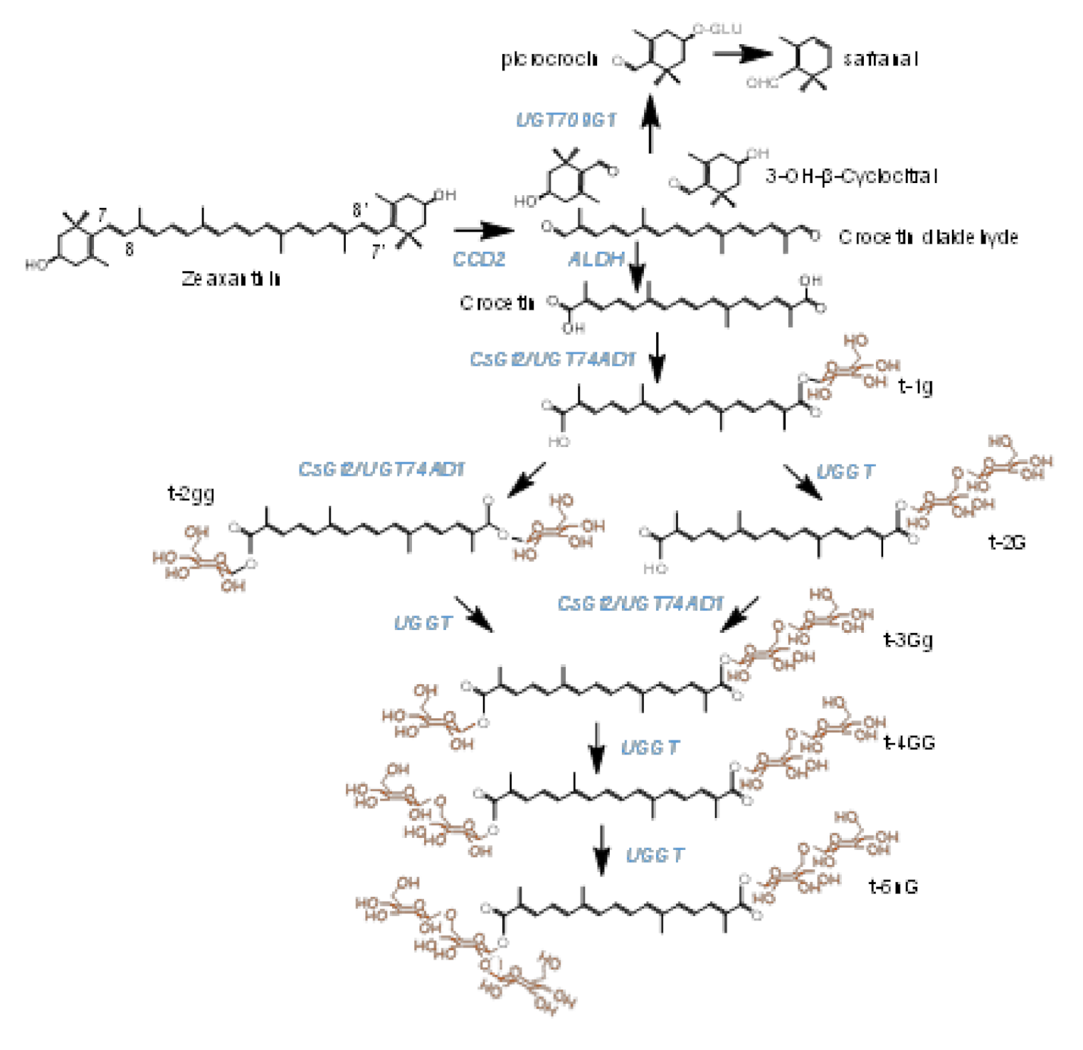 Ijms 22 08815 g001 Ijms 22 08815 g001