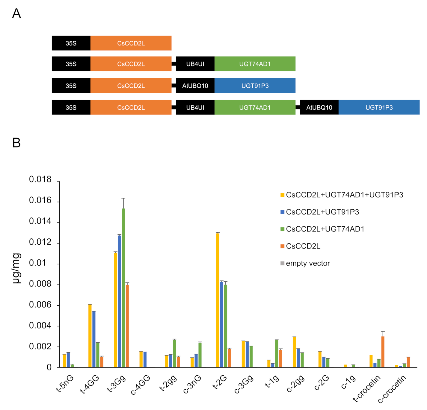 Ijms 22 08815 g006 Ijms 22 08815 g006