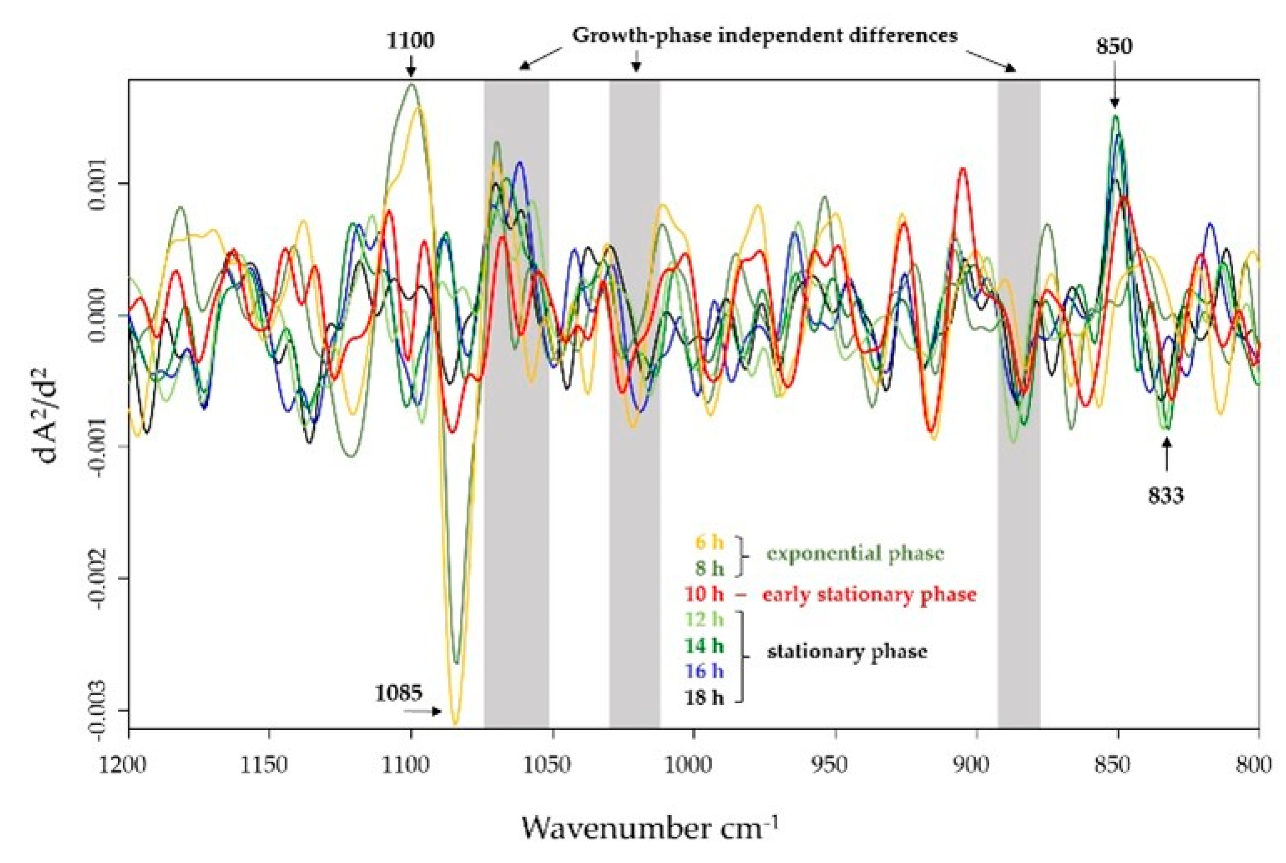 Ijms 22 08840 g002 Ijms 22 08840 g002