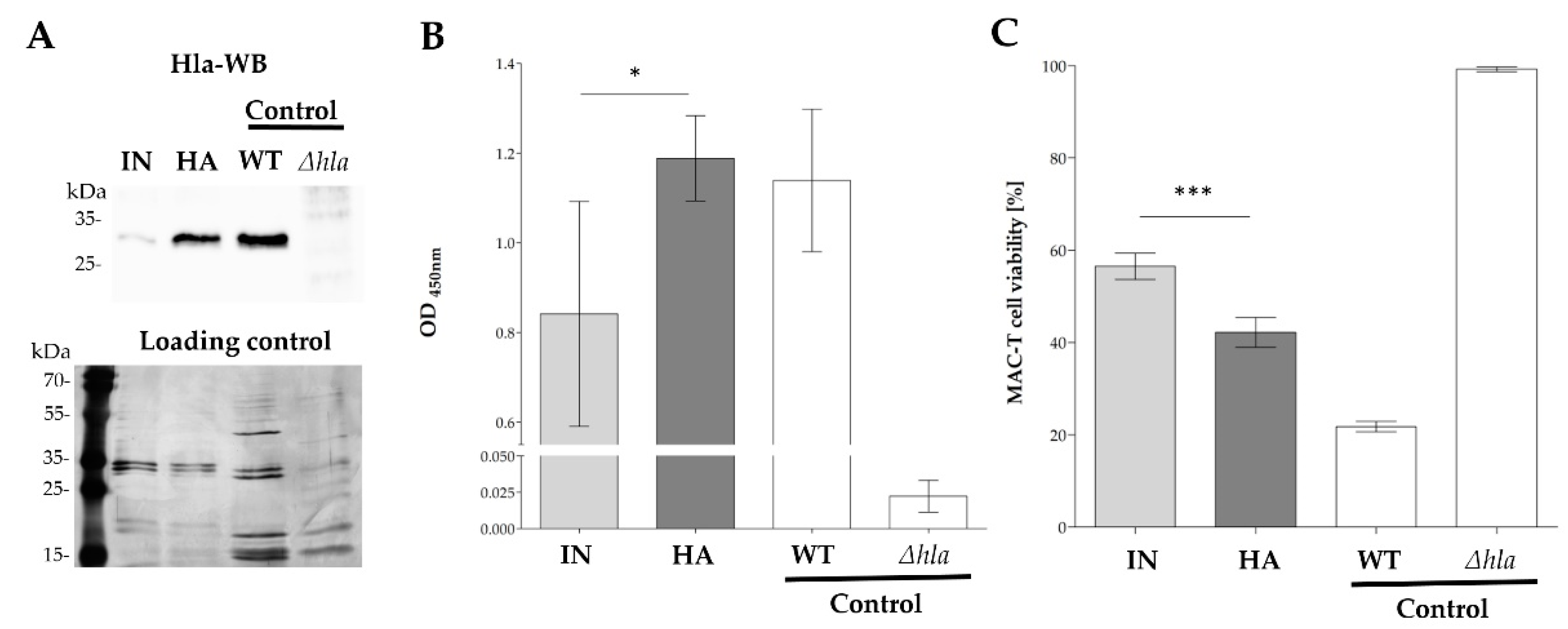 Ijms 22 08840 g004 Ijms 22 08840 g004