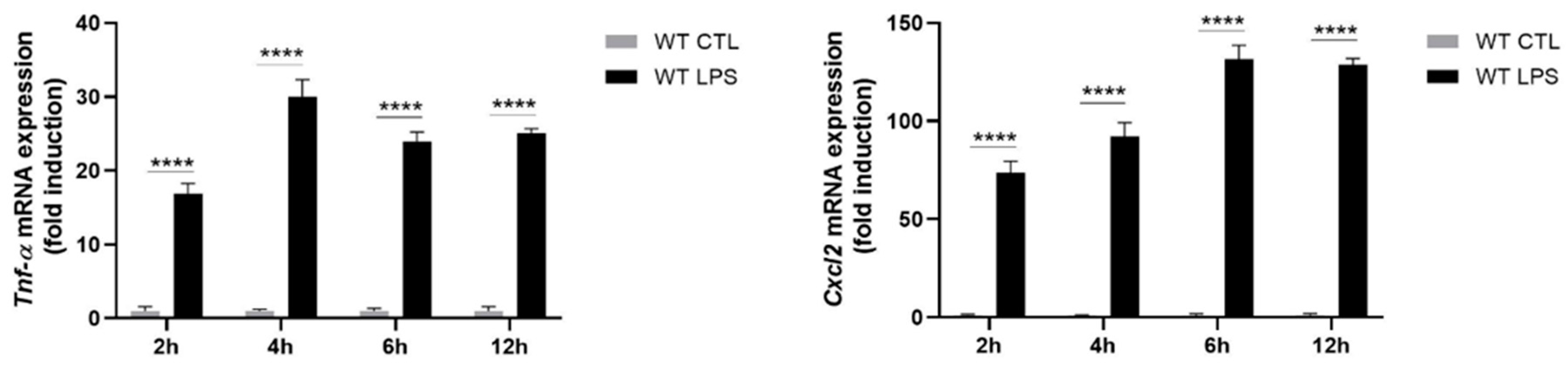 Ijms 22 08845 g003b Ijms 22 08845 g003b