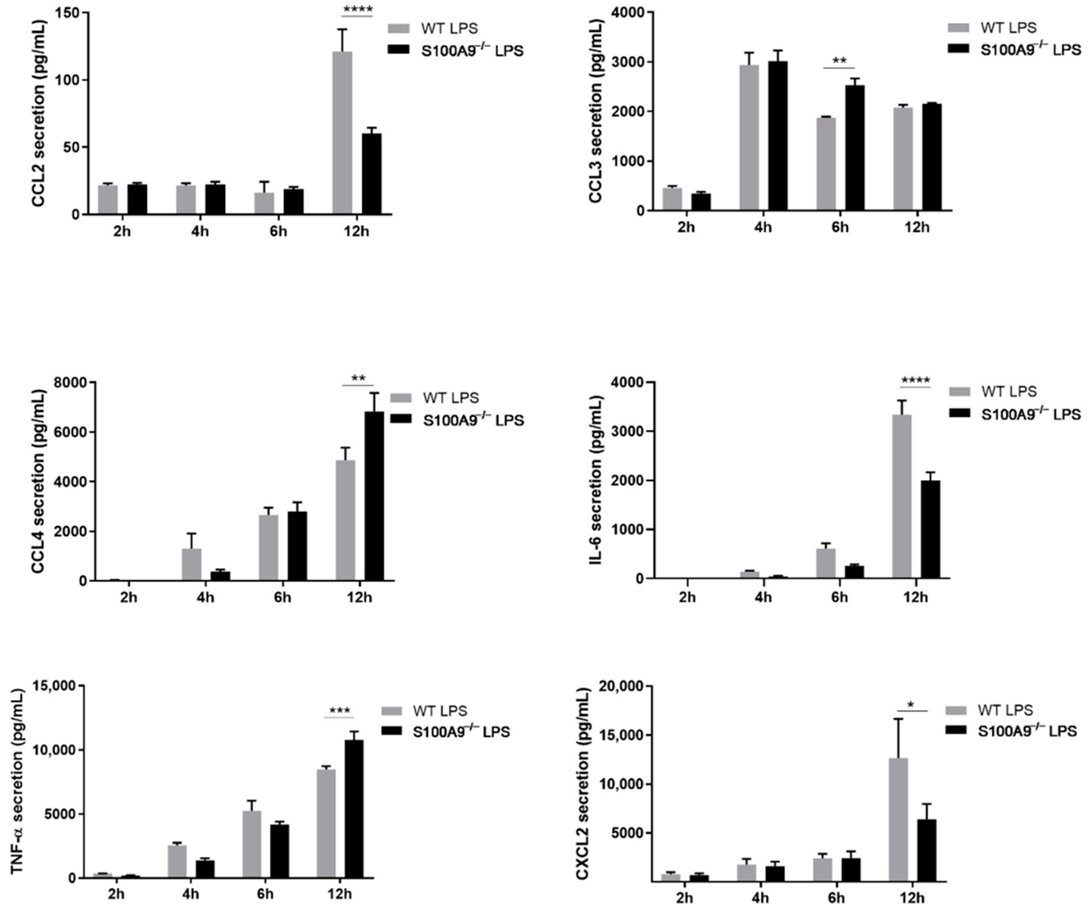 Ijms 22 08845 g006 Ijms 22 08845 g006