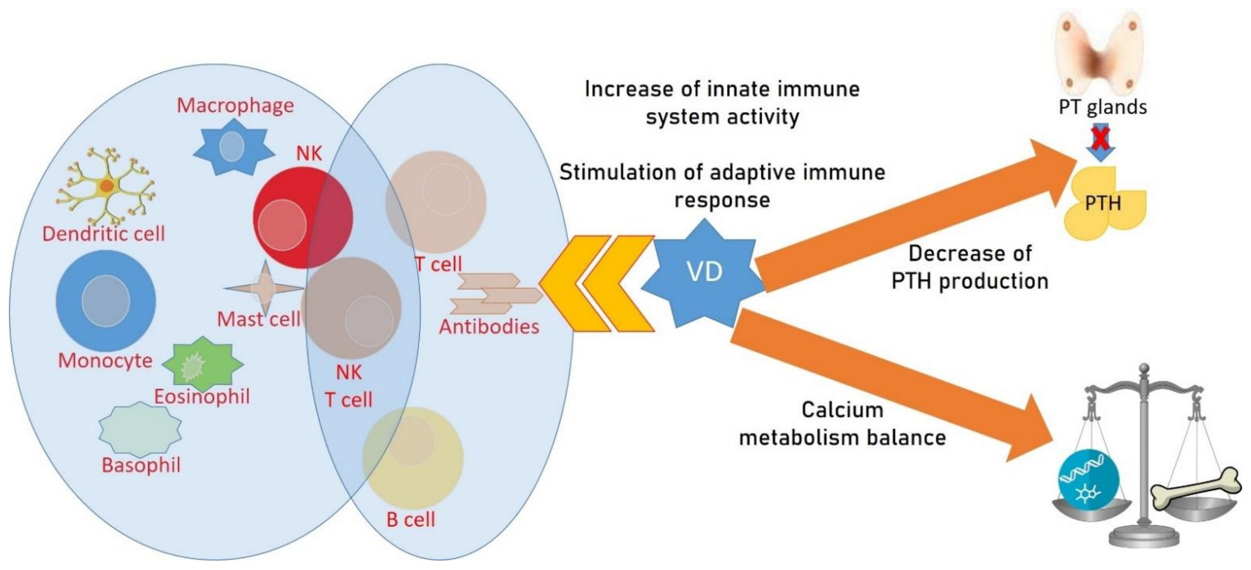 IJMS | Free Full-Text | Vitamin D Deficiency, Osteoporosis and Effect on  Autoimmune Diseases and Hematopoiesis: A Review | HTML