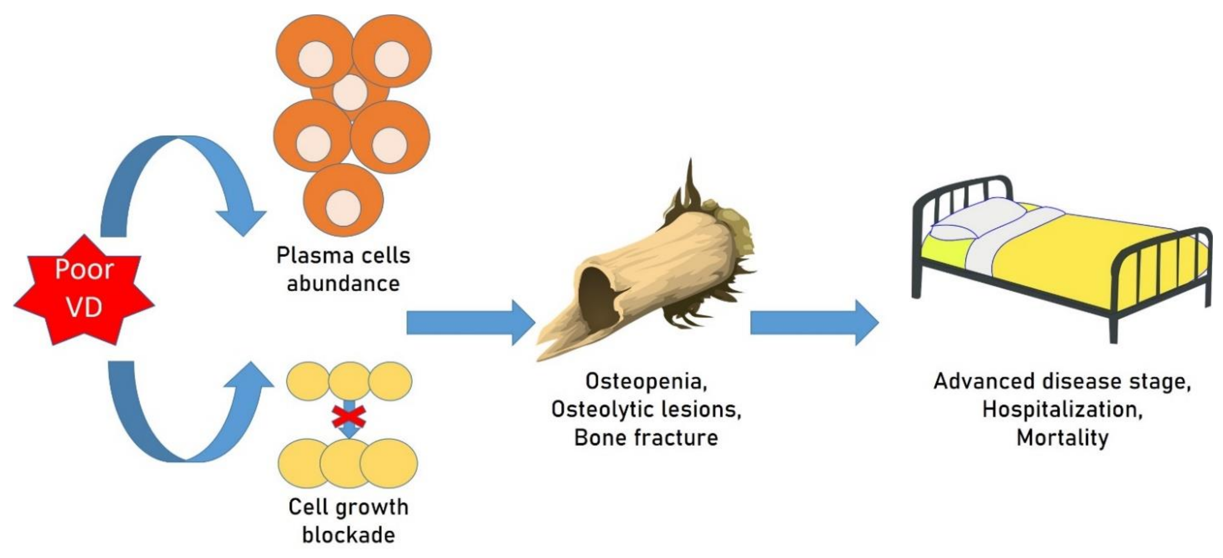 IJMS | Free Full-Text | Vitamin D Deficiency, Osteoporosis and Effect on  Autoimmune Diseases and Hematopoiesis: A Review