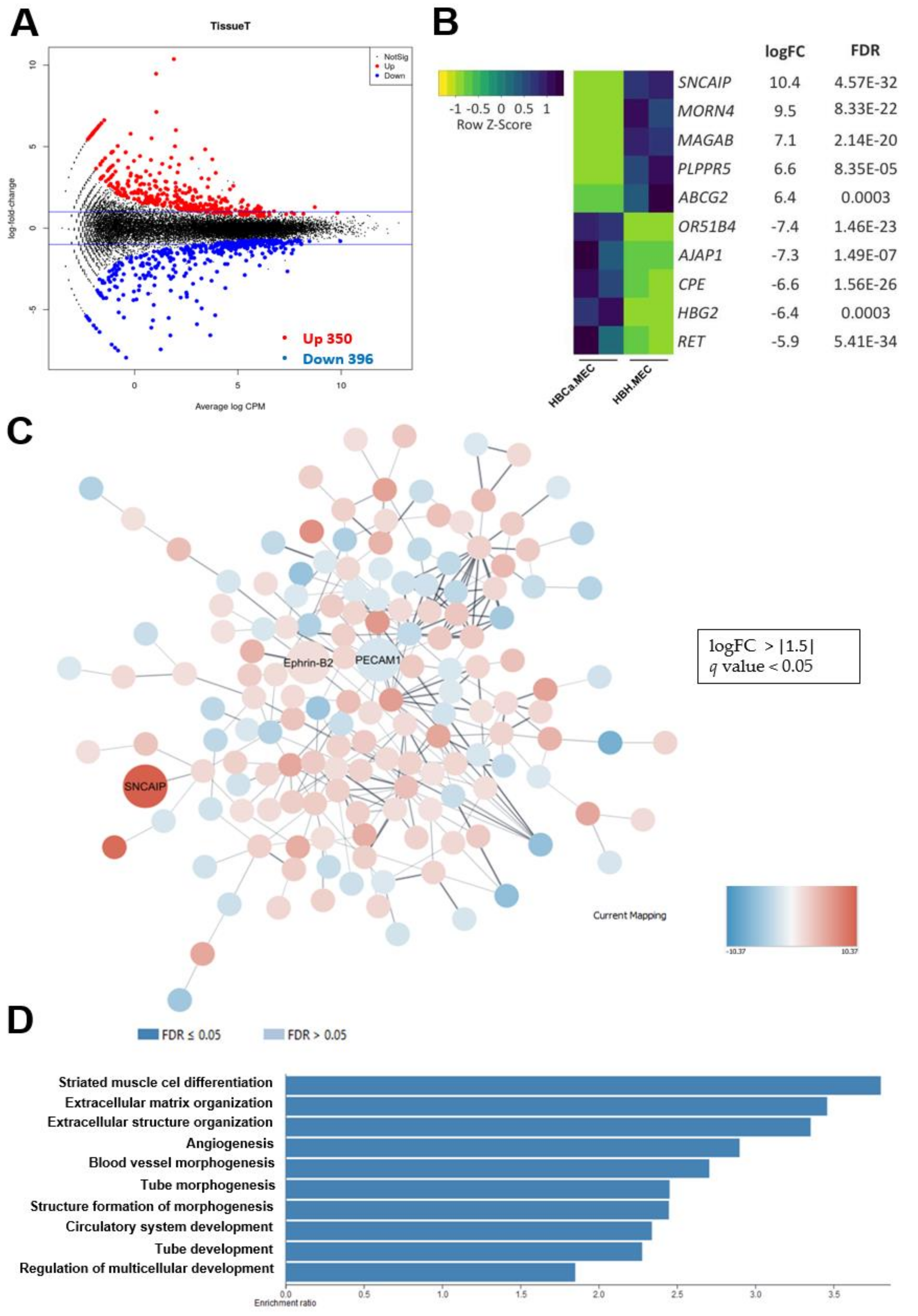 Ijms 22 08862 g005 Ijms 22 08862 g005