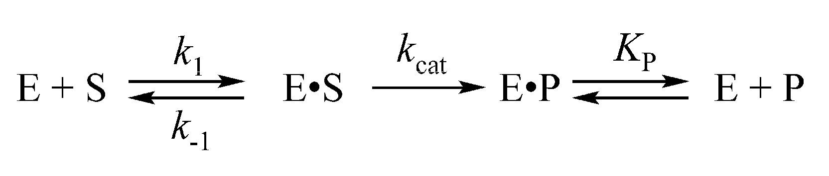 Ijms 22 08874 sch002 Ijms 22 08874 sch002