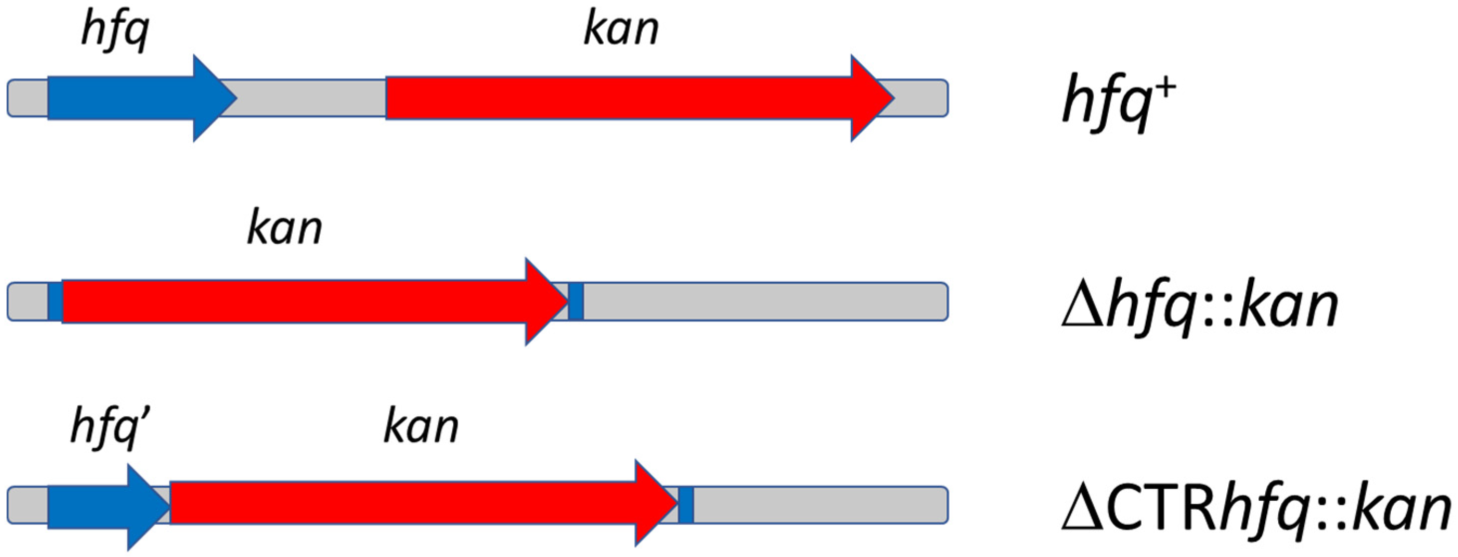 Ijms 22 08886 g002 Ijms 22 08886 g002