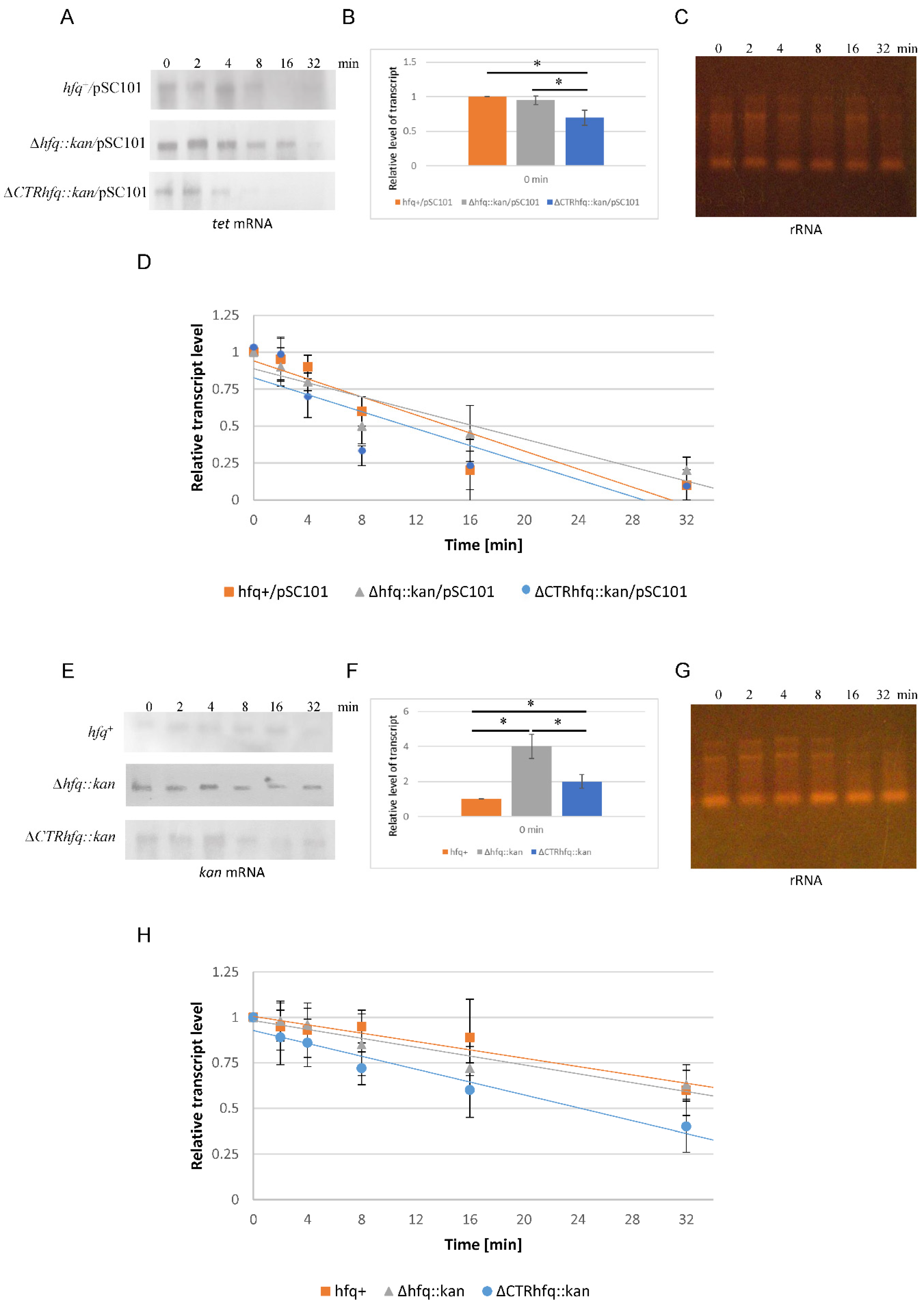 Ijms 22 08886 g010 Ijms 22 08886 g010