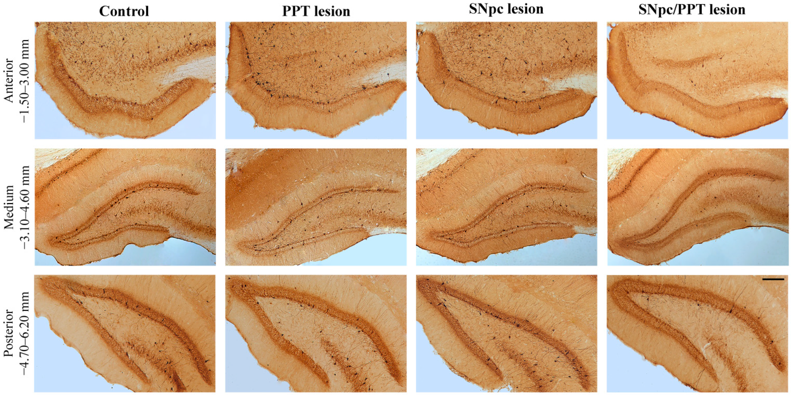 Ijms 22 08922 g002 Ijms 22 08922 g002