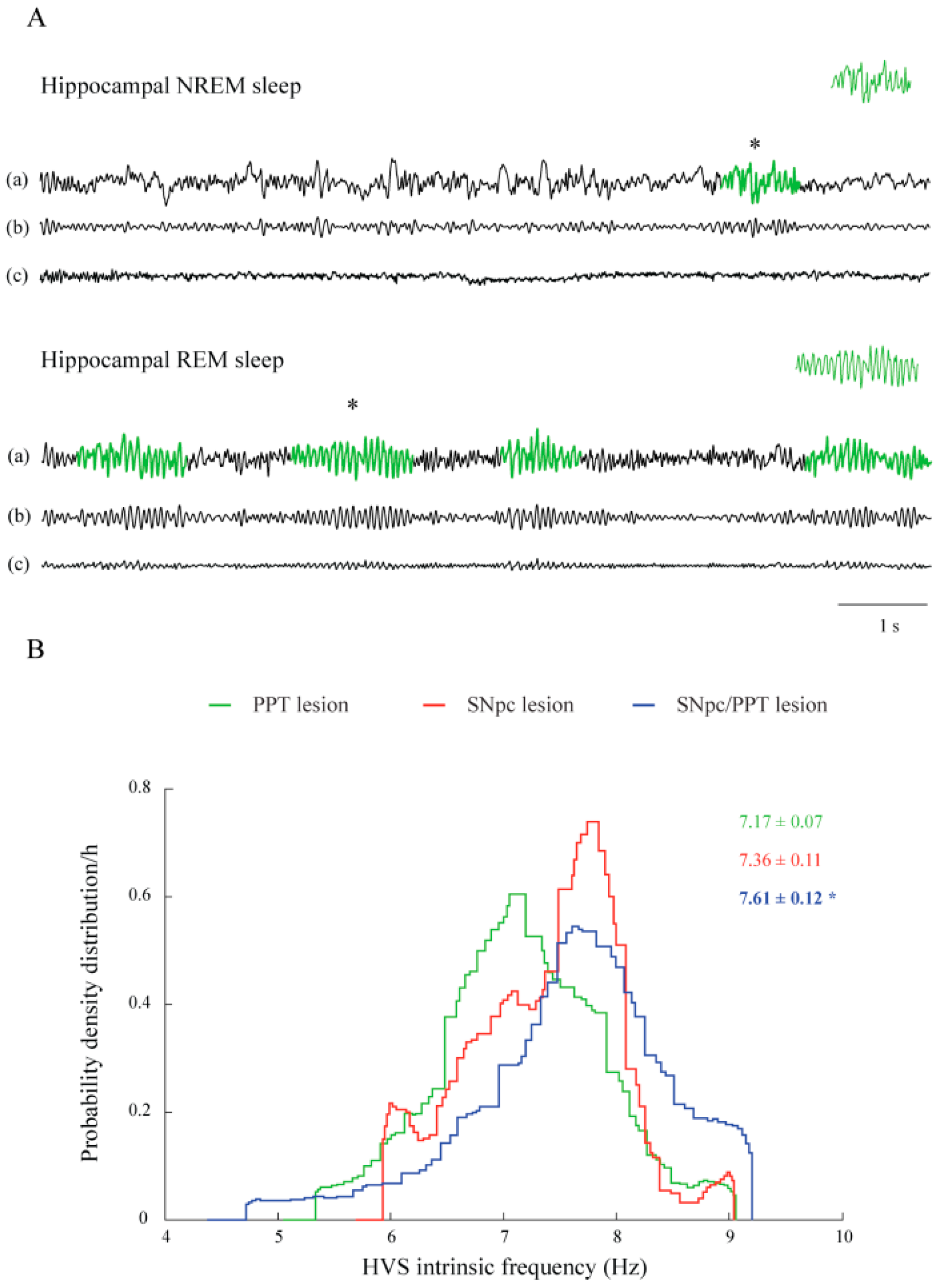 Ijms 22 08922 g005 Ijms 22 08922 g005