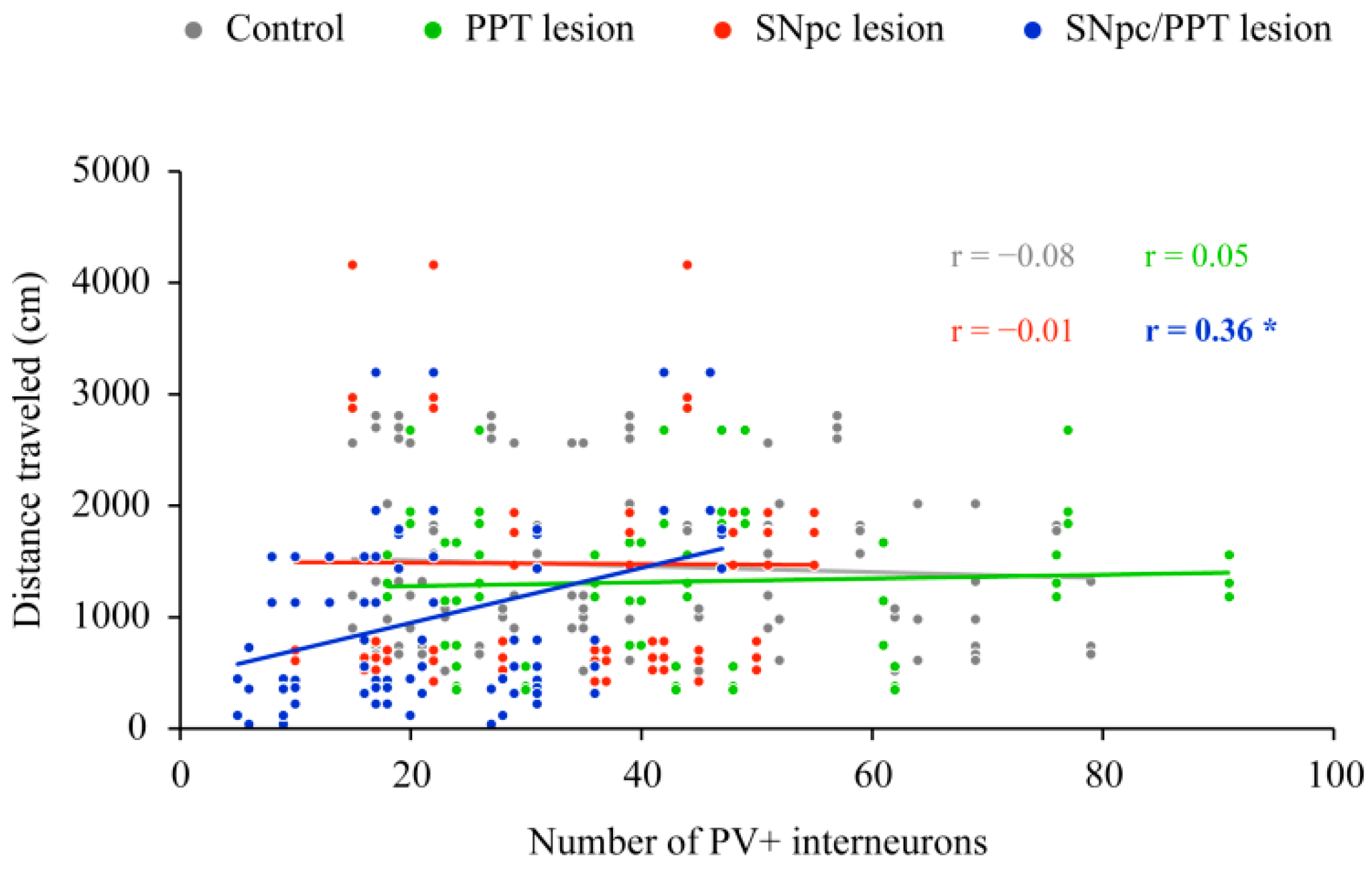 Ijms 22 08922 g006 Ijms 22 08922 g006