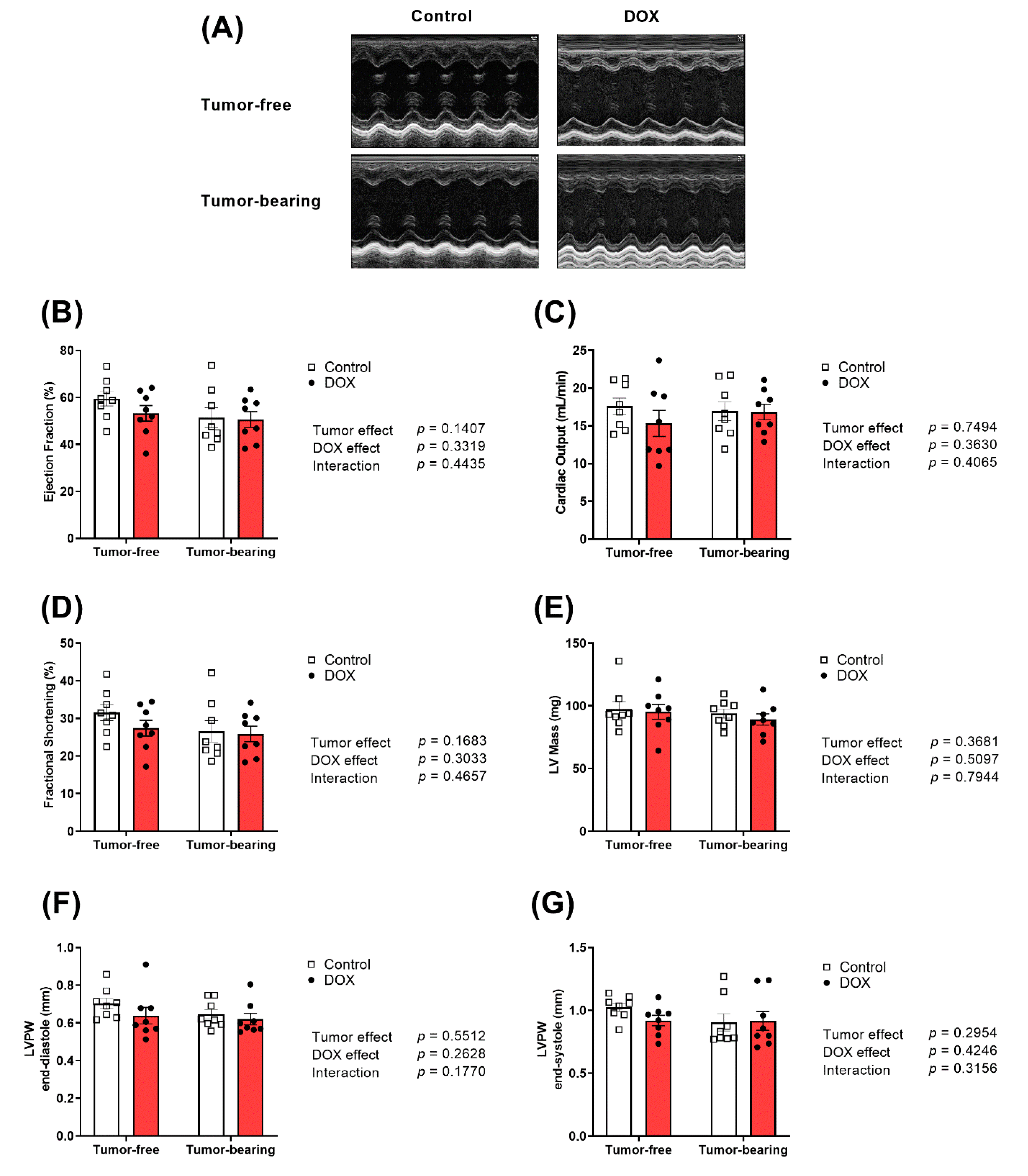 Ijms 22 09023 g002 Ijms 22 09023 g002