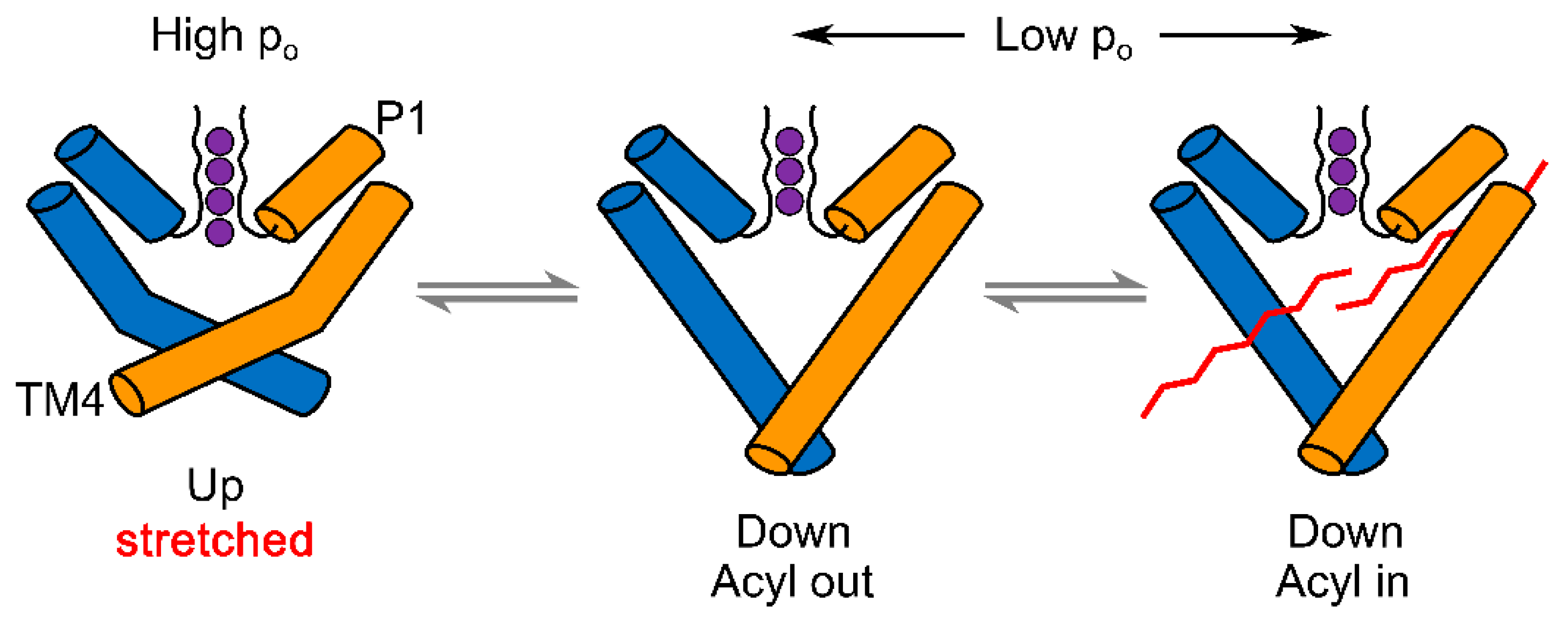 Ijms 22 09062 g004 Ijms 22 09062 g004
