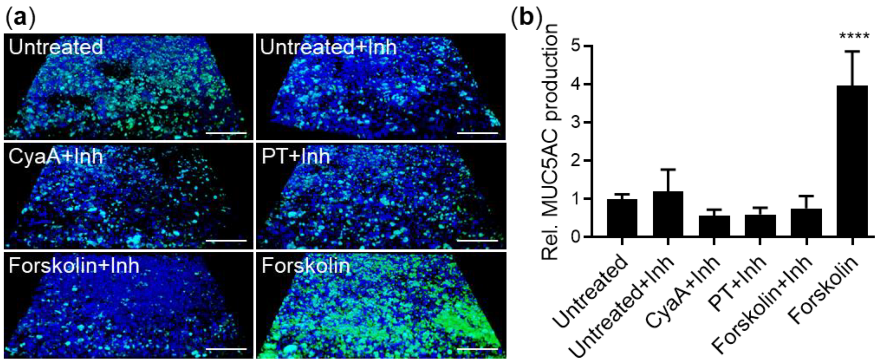 Ijms 22 09064 g003 Ijms 22 09064 g003