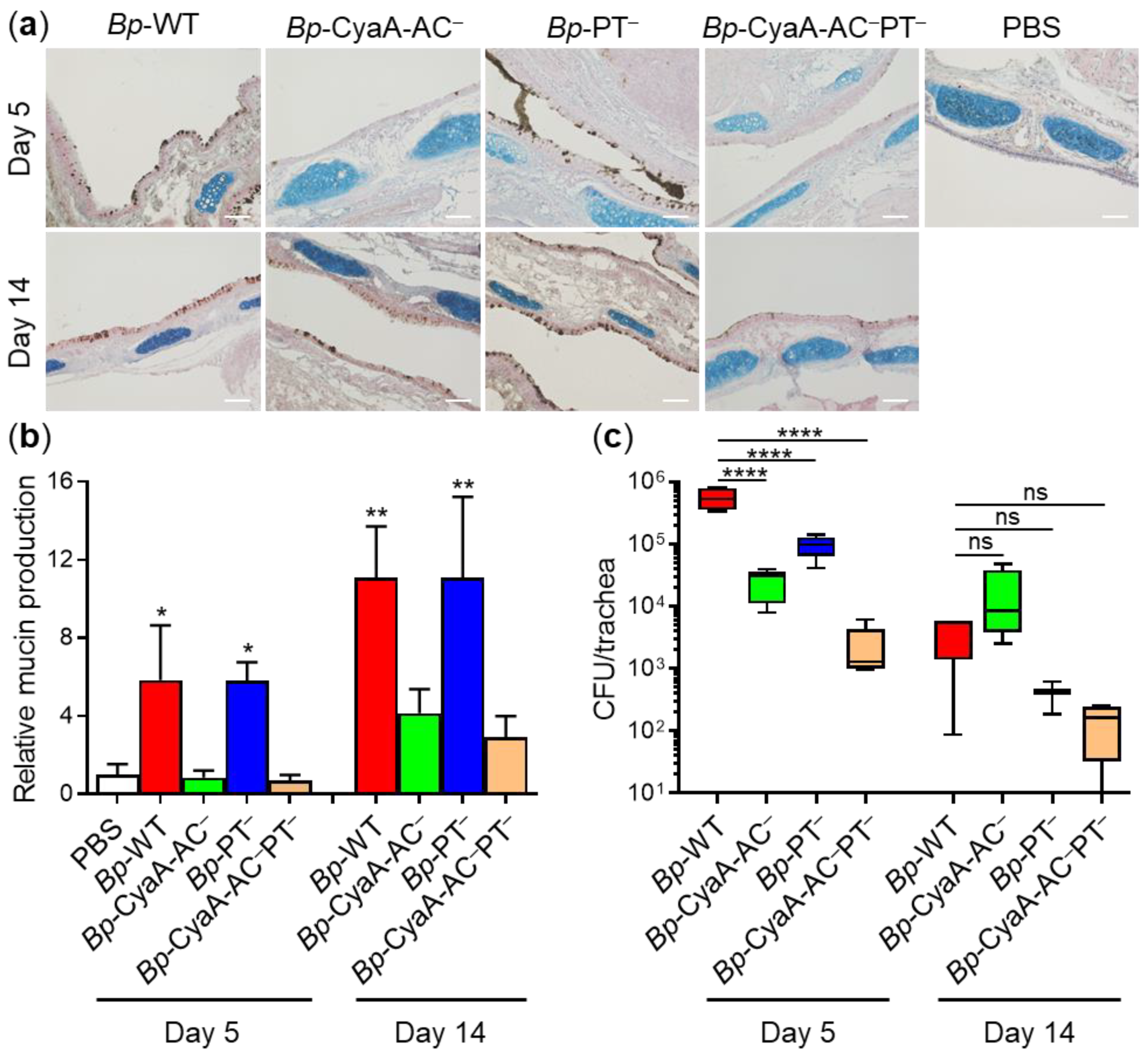 Ijms 22 09064 g005 Ijms 22 09064 g005