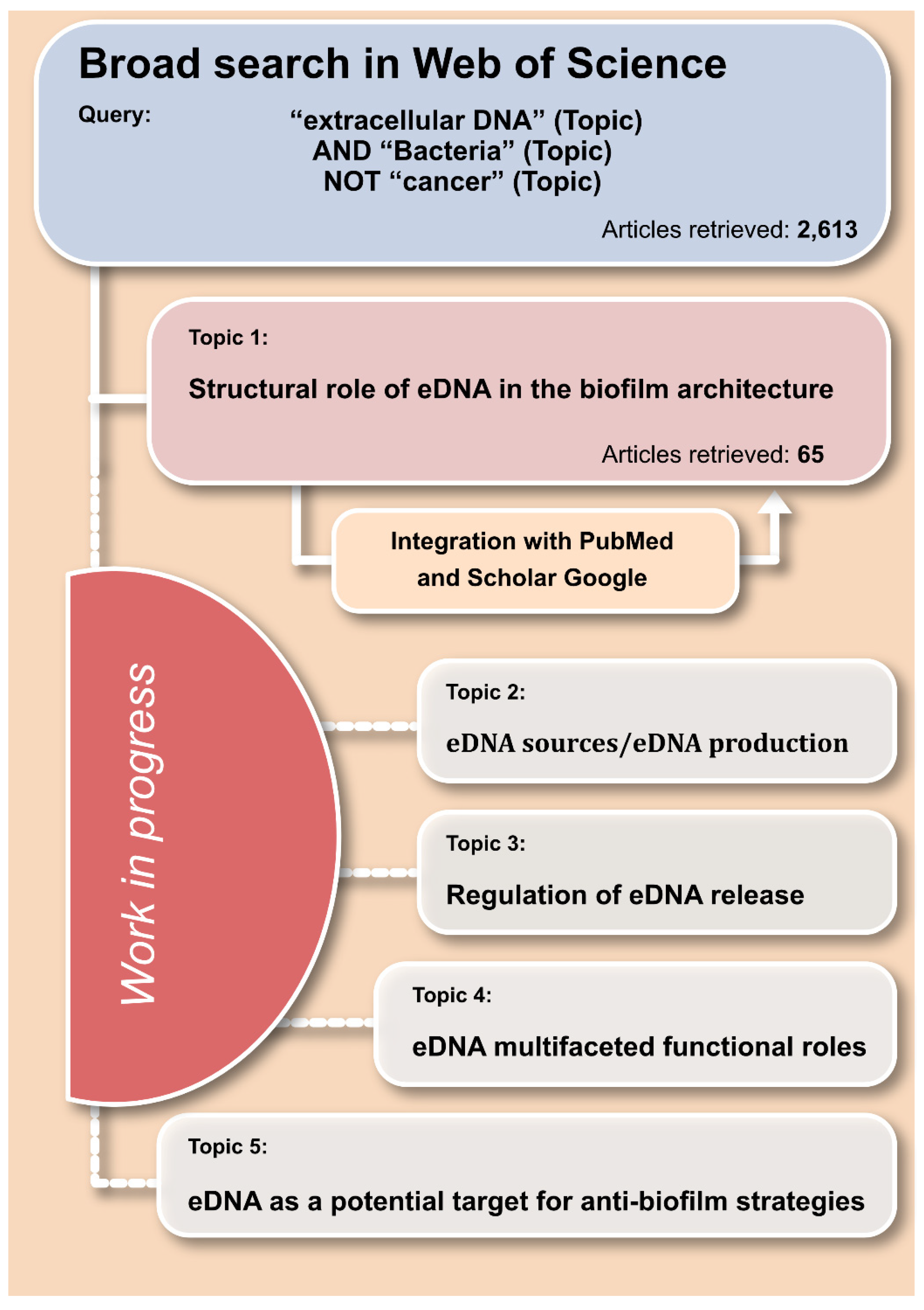 Ijms Free Full Text Extracellular Dna Edna A Major Ubiquitous Element Of The Bacterial Biofilm Architecture Html