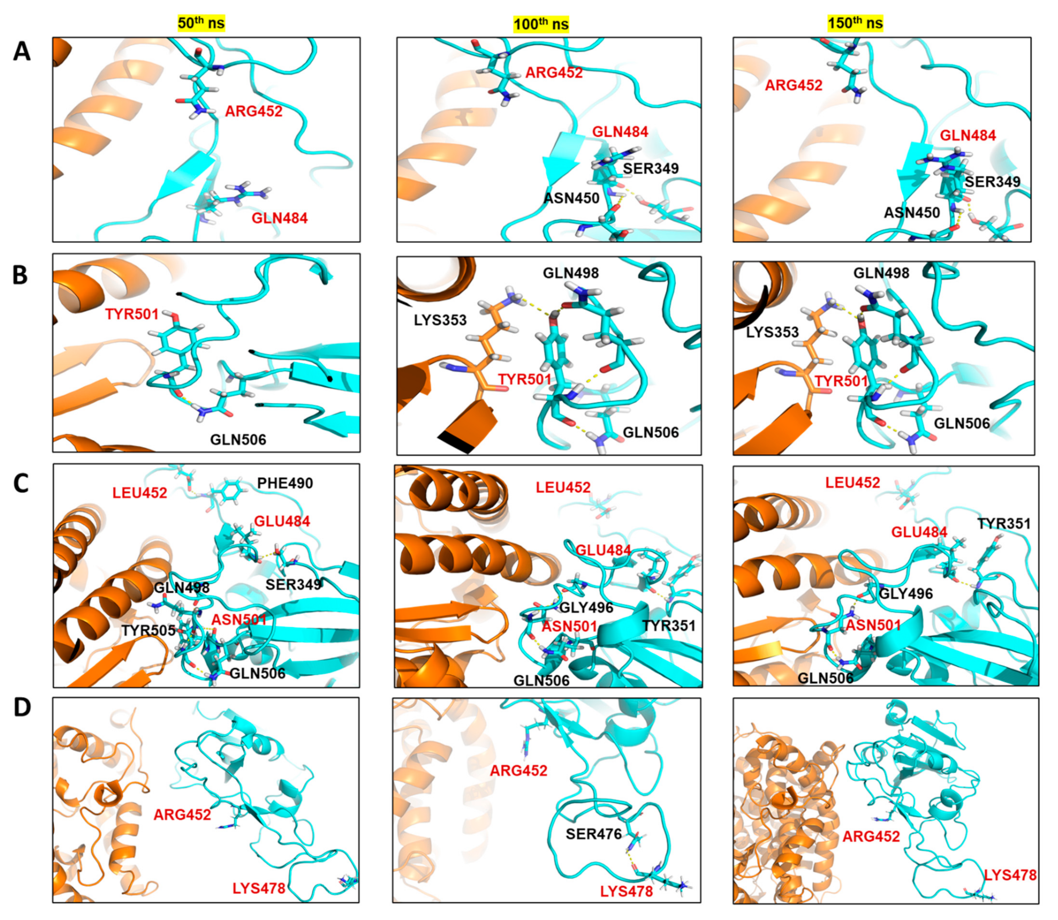 IJMS | Free Full-Text | Possible Link between Higher Transmissibility of  Alpha, Kappa and Delta Variants of SARS-CoV-2 and Increased Structural  Stability of Its Spike Protein and hACE2 Affinity