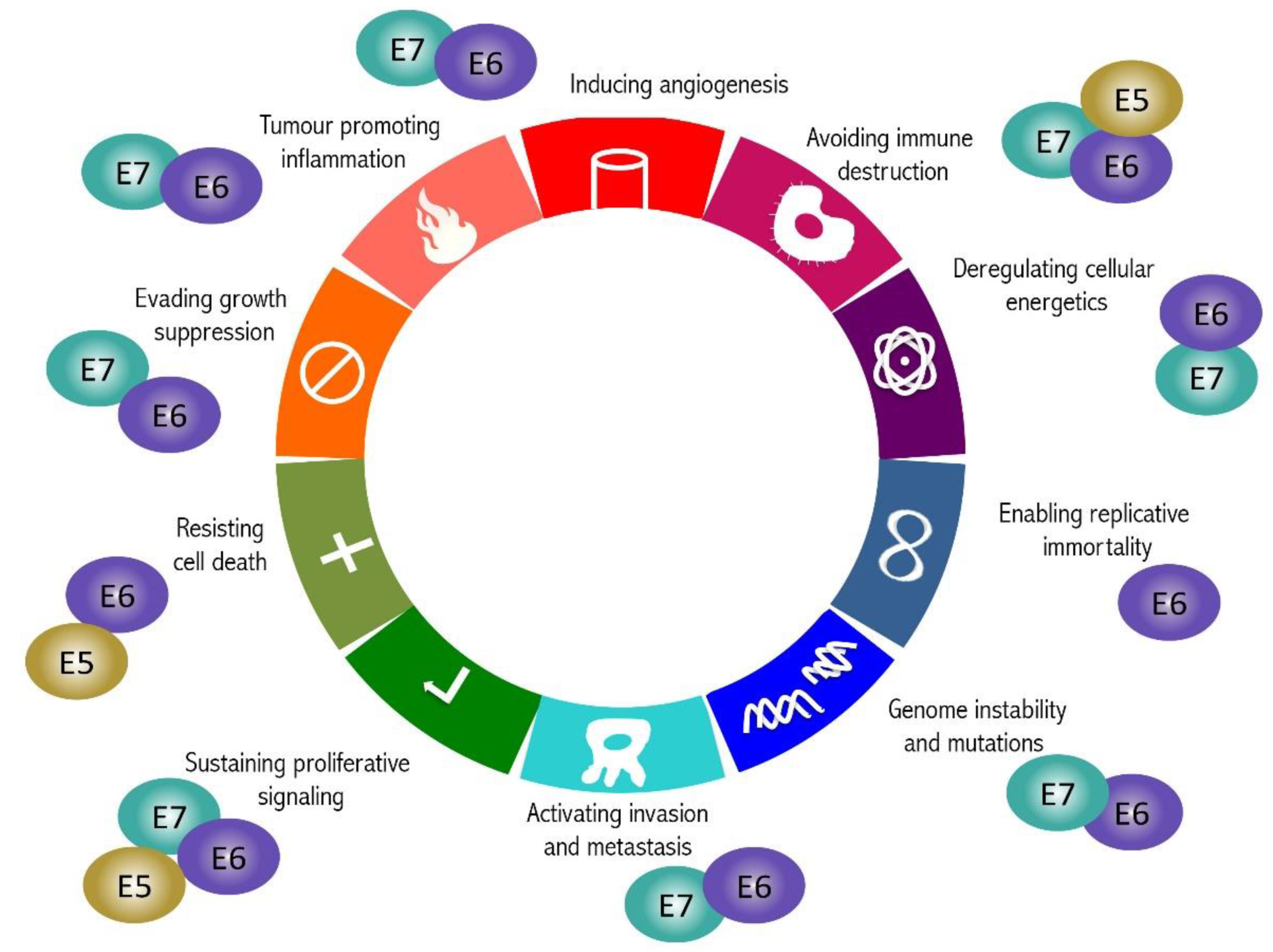 Ijms 22 09143 g002 Ijms 22 09143 g002