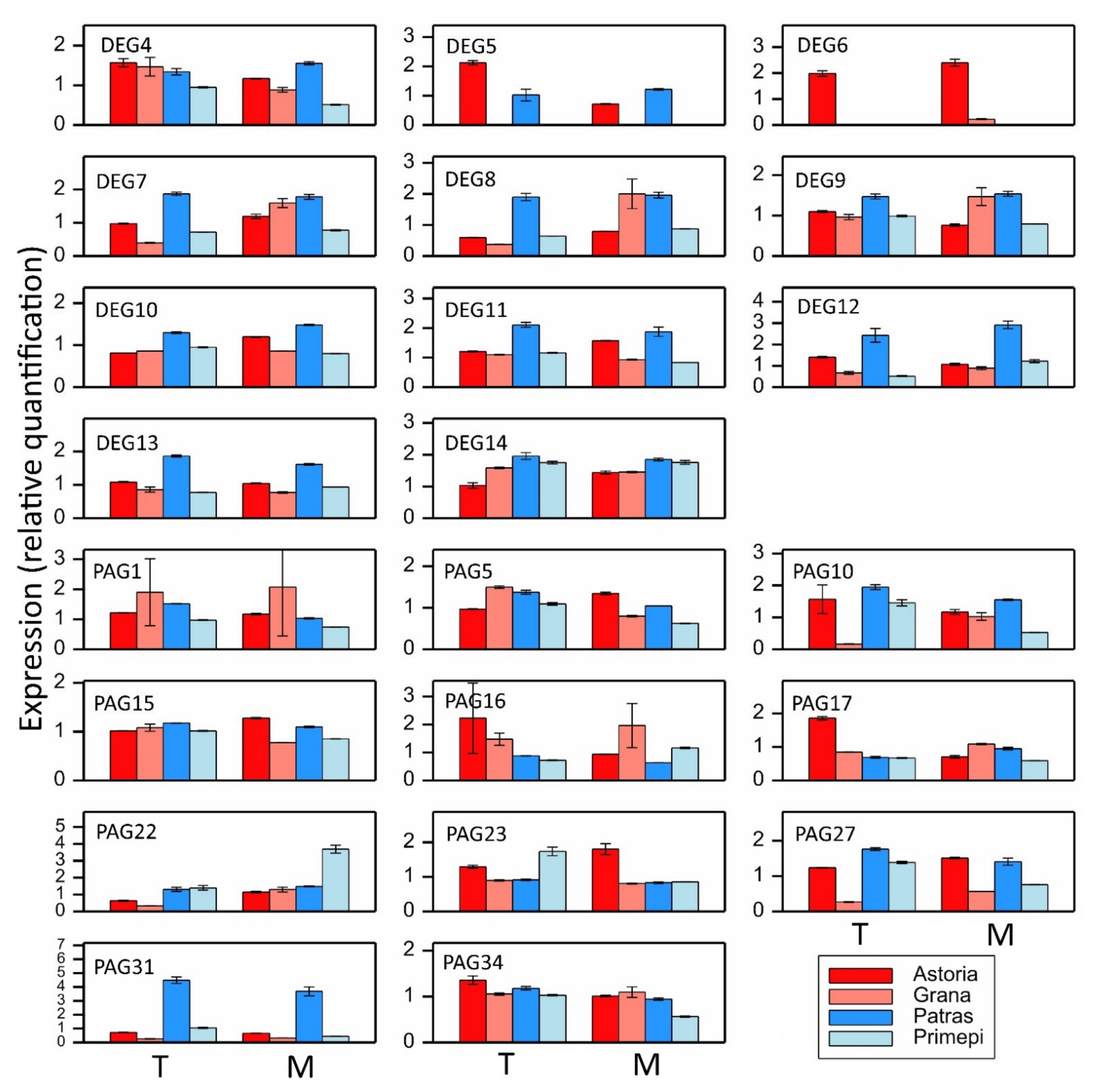Ijms 22 09146 g006 Ijms 22 09146 g006