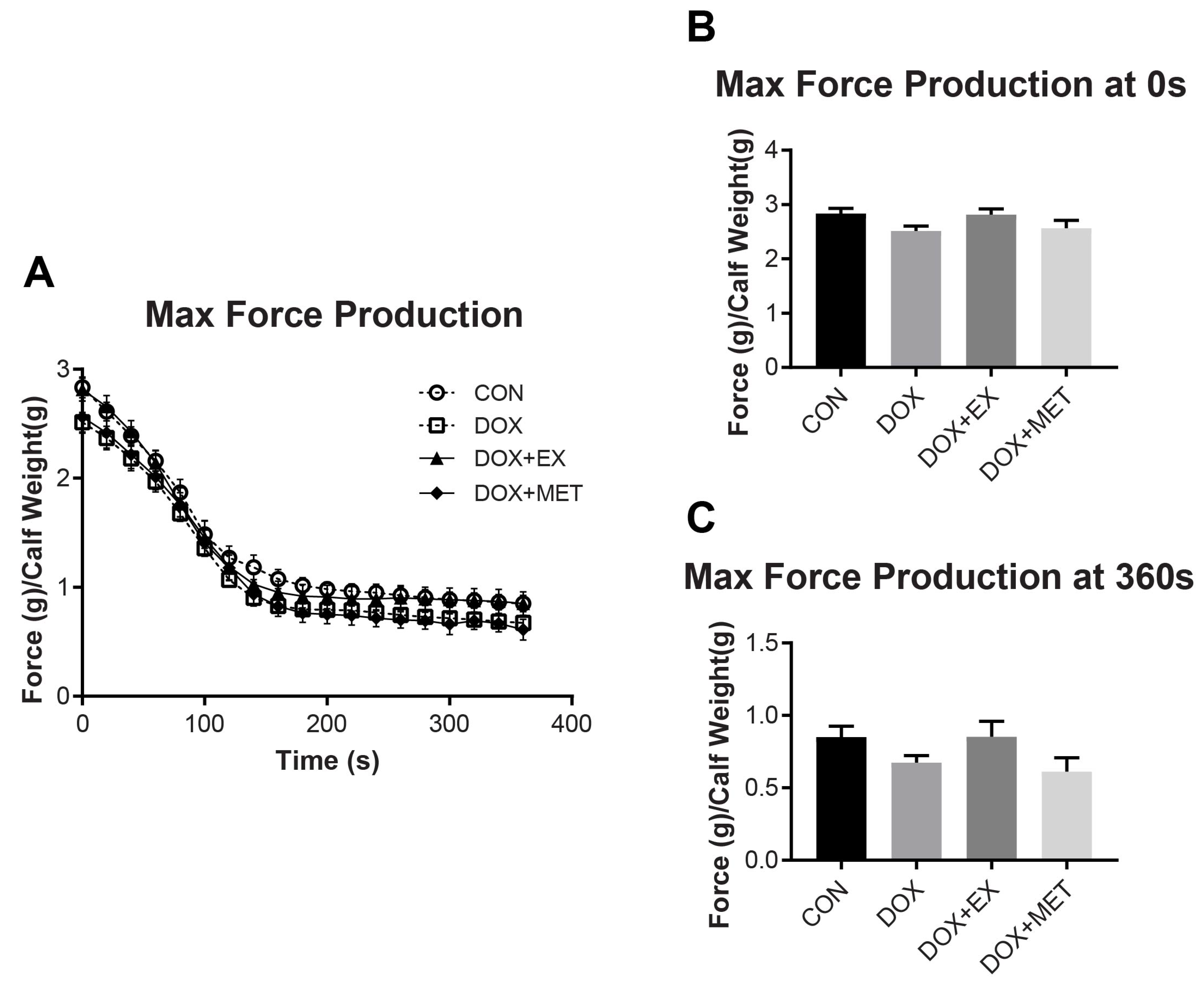 Ijms Free Full Text Exercise But Not Metformin Prevents Loss Of Muscle Function Due To Doxorubicin In Mice Using An In Situ Method Html