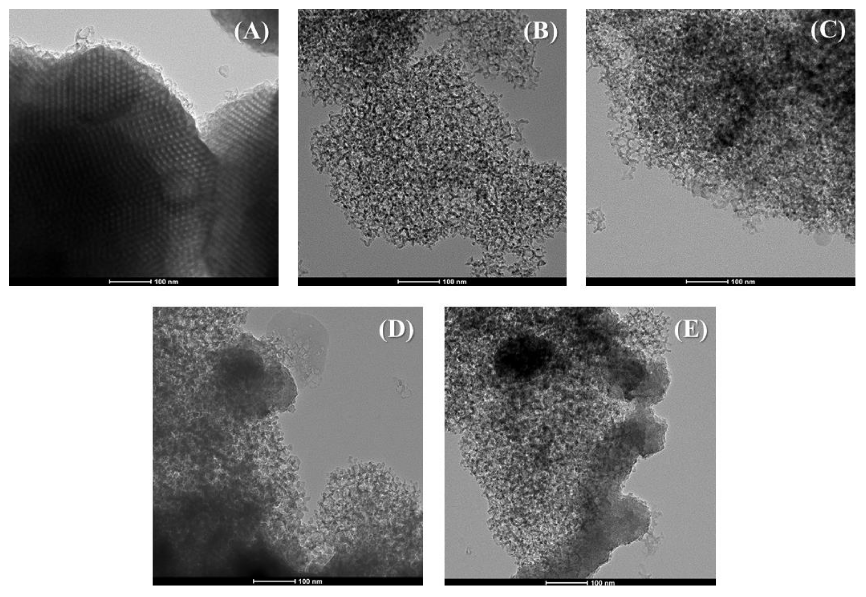 Ijms 22 09164 g002 Ijms 22 09164 g002