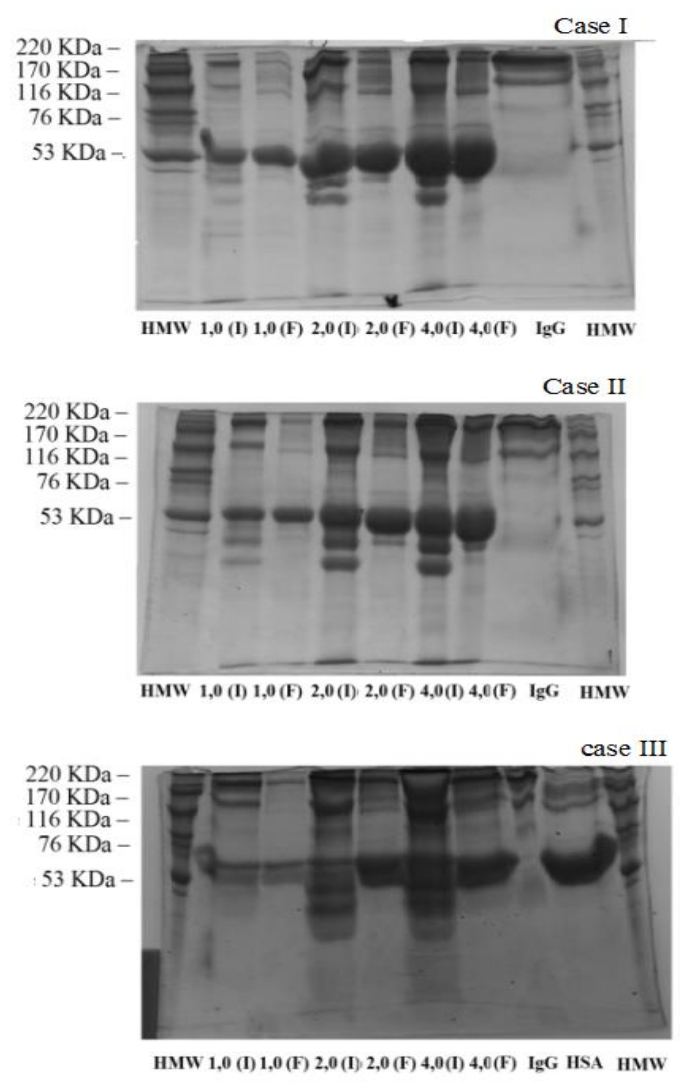 Ijms 22 09164 g006 Ijms 22 09164 g006