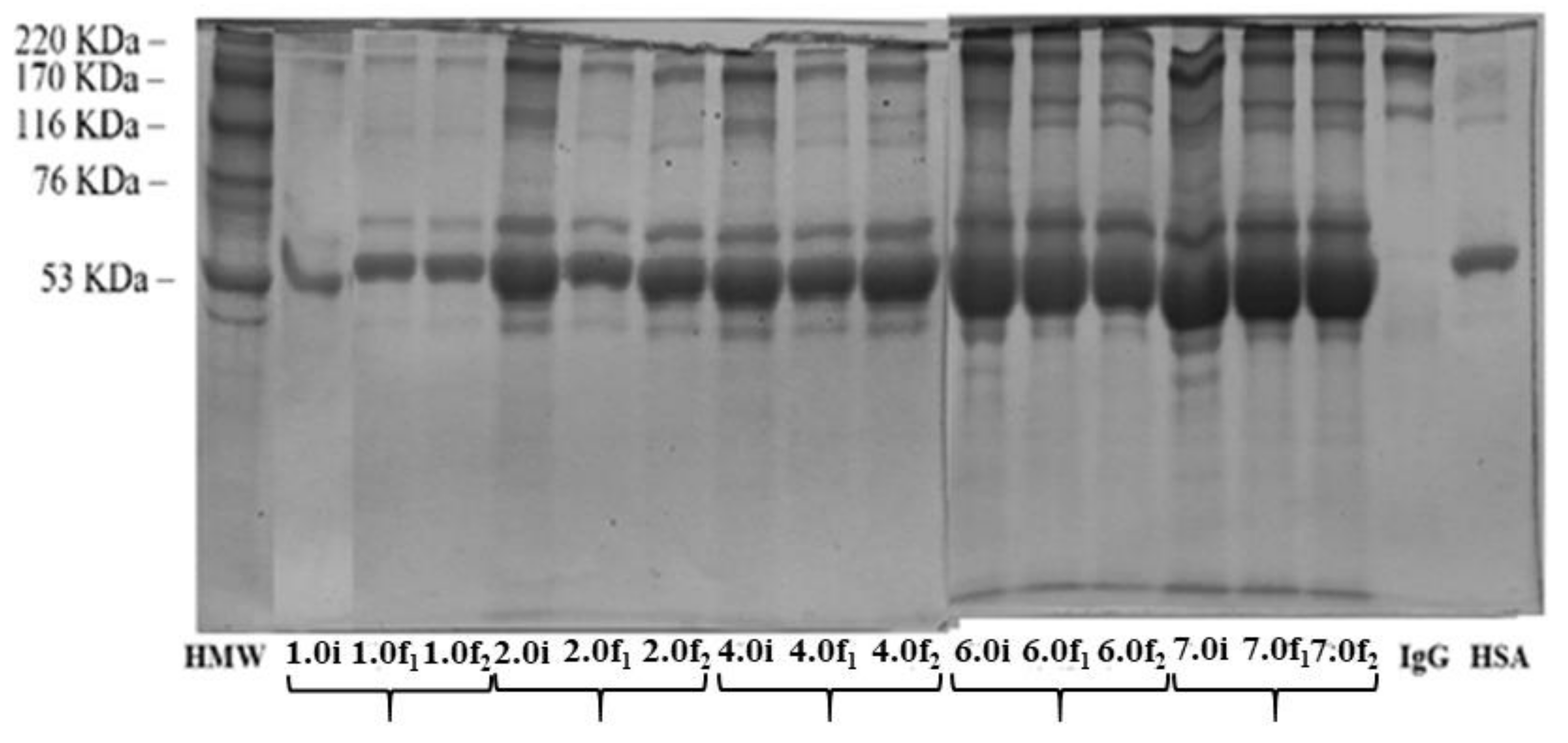 Ijms 22 09164 g008 Ijms 22 09164 g008
