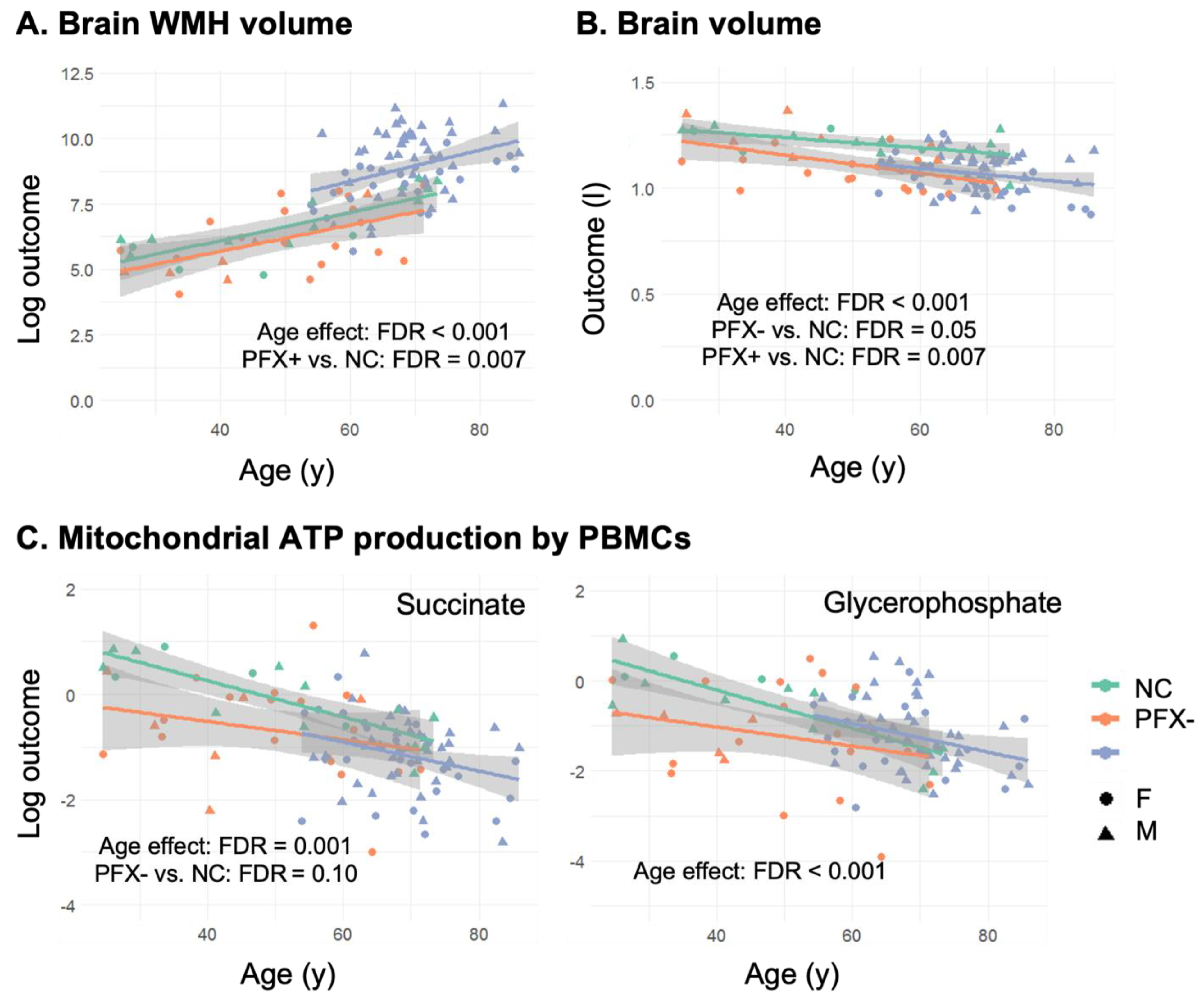 IJMS | Free Full-Text | Brain Atrophy and White Matter Damage