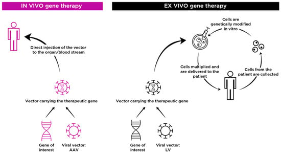 Predicting genotoxicity of viral vectors for stem cell gene therapy using  gene expression-based machine learning - ScienceDirect