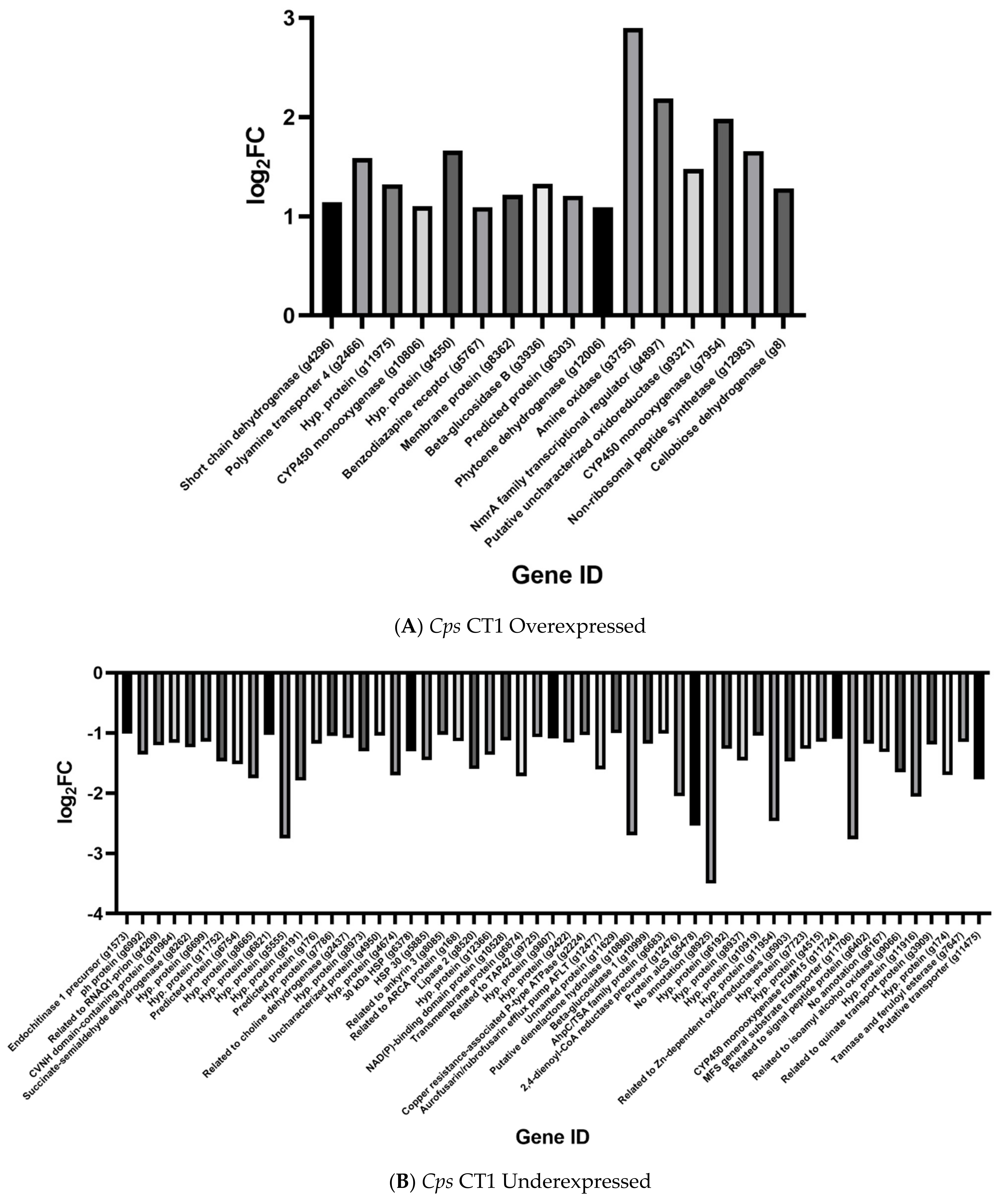 Ijms 22 09255 g002a Ijms 22 09255 g002a