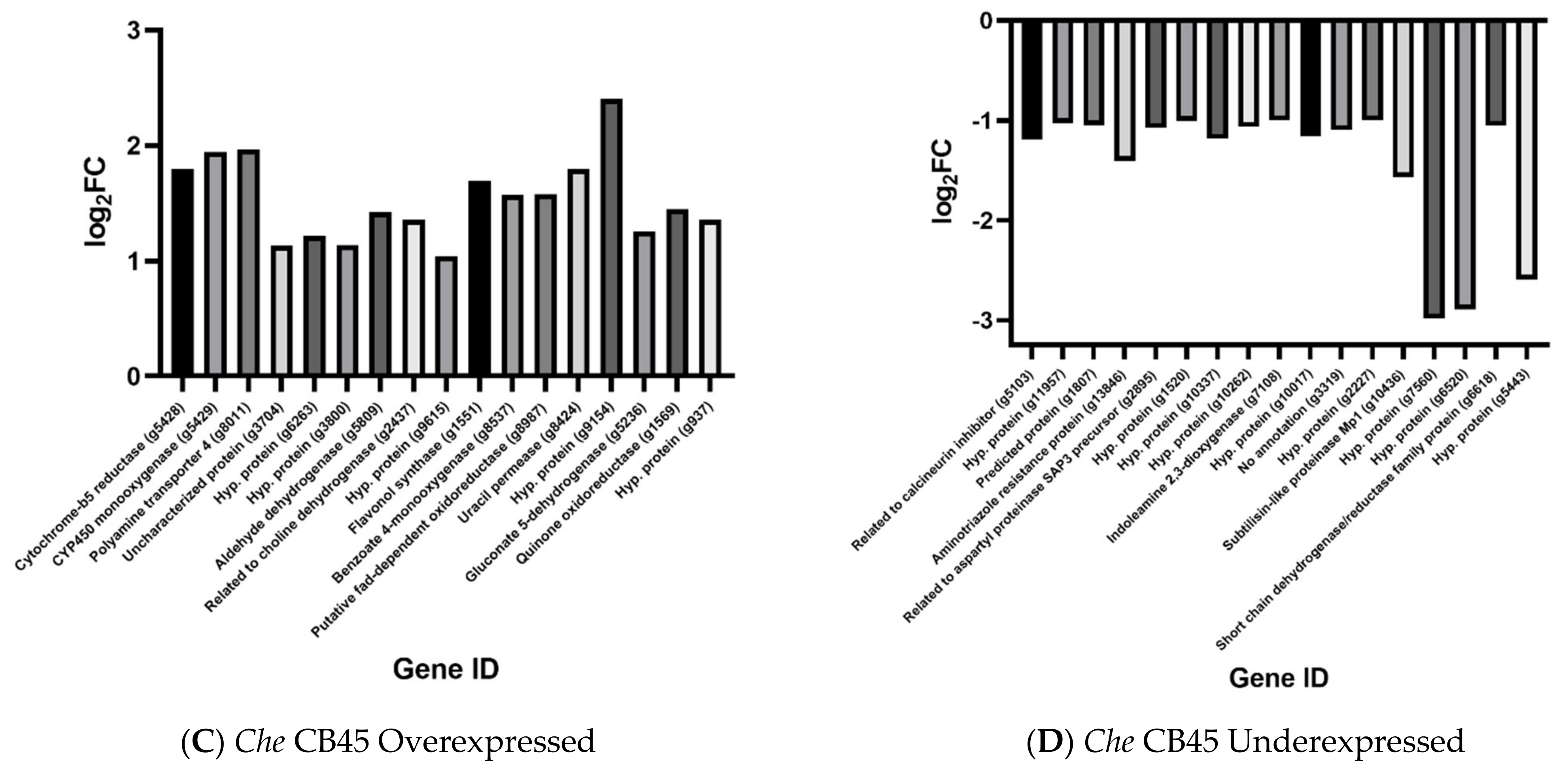 Ijms 22 09255 g002b Ijms 22 09255 g002b
