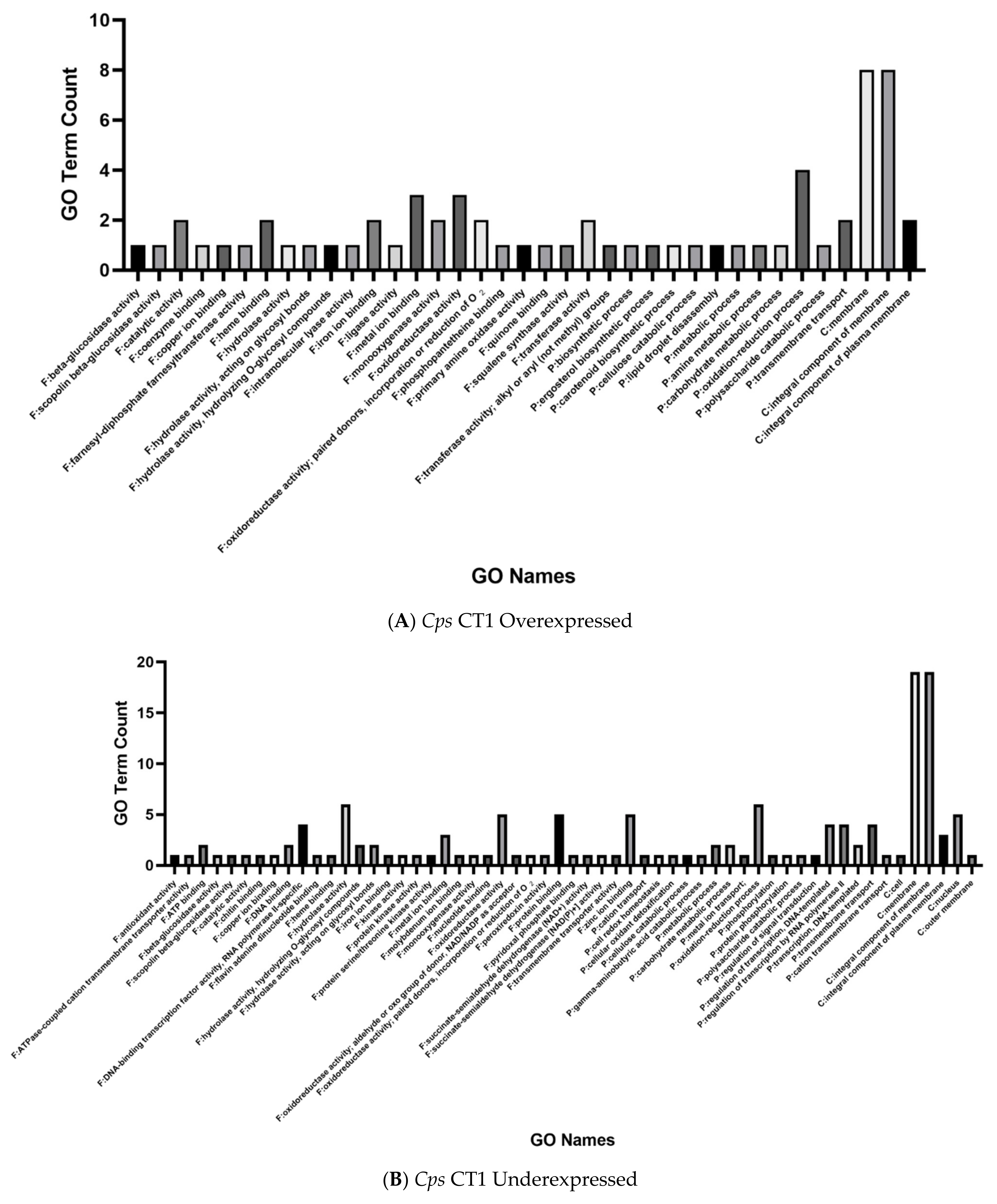 Ijms 22 09255 g003a Ijms 22 09255 g003a