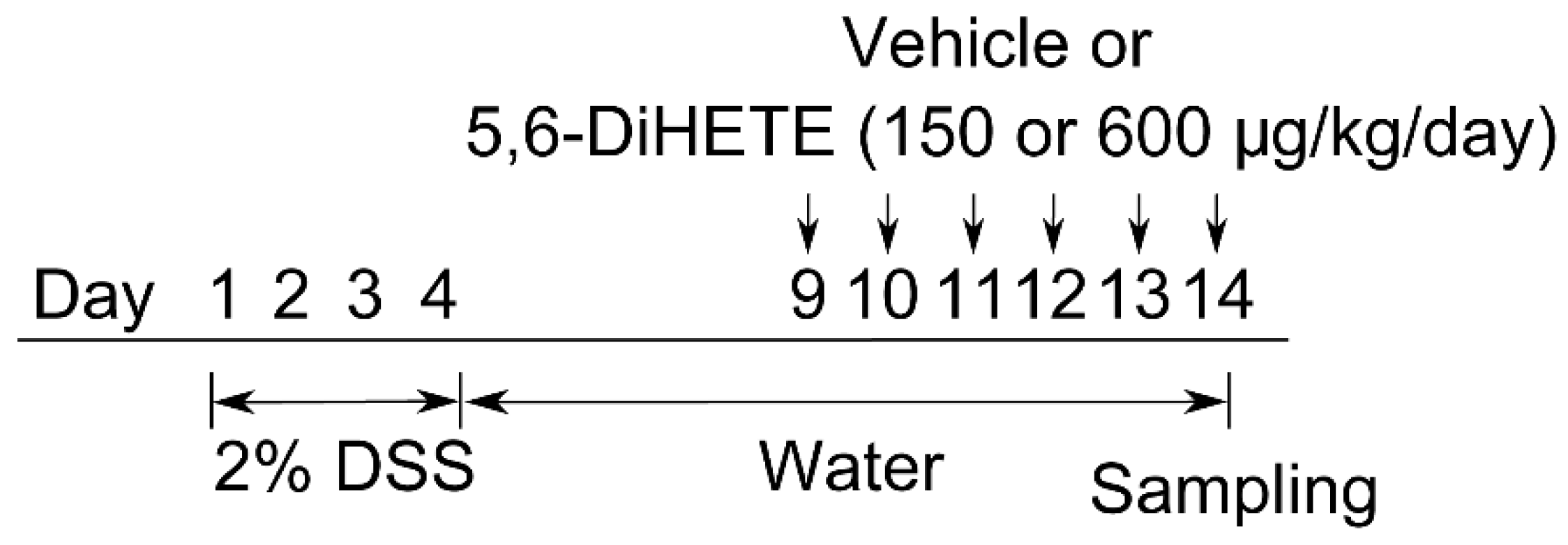 Ijms 22 09295 g004