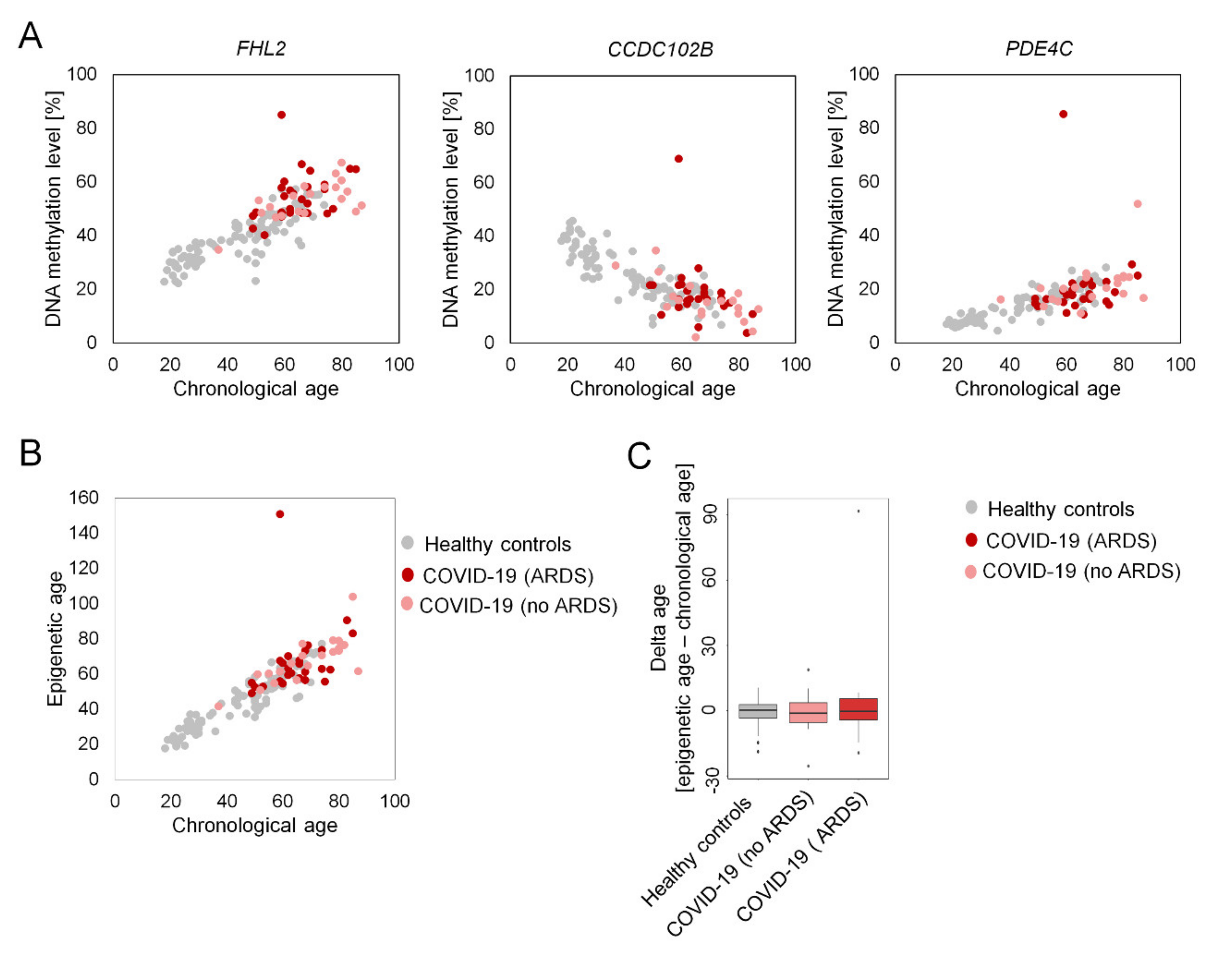 Ijms Free Full Text Epigenetic Clocks Are Not Accelerated In Covid 19 Patients