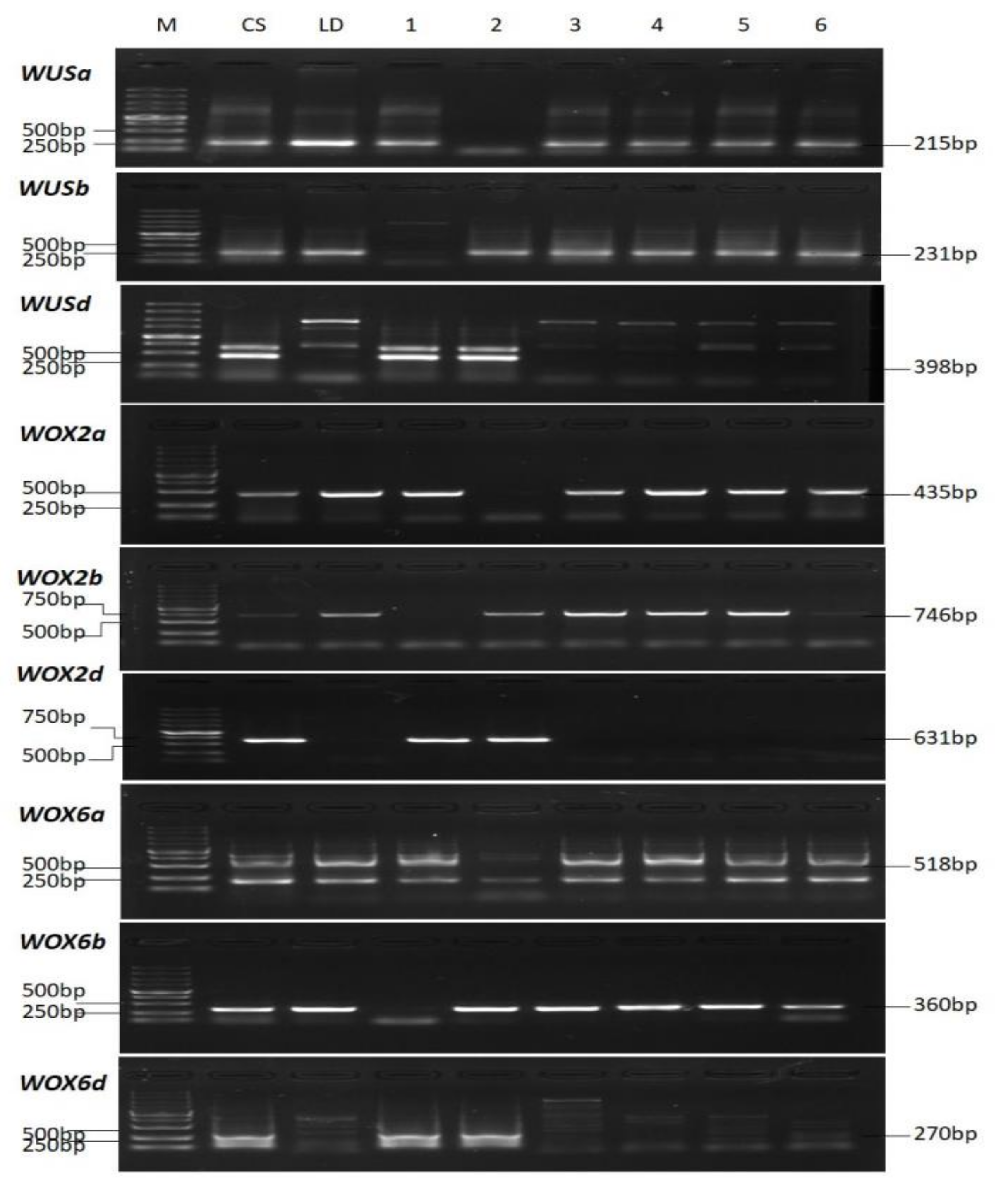 Ijms 22 09325 g003