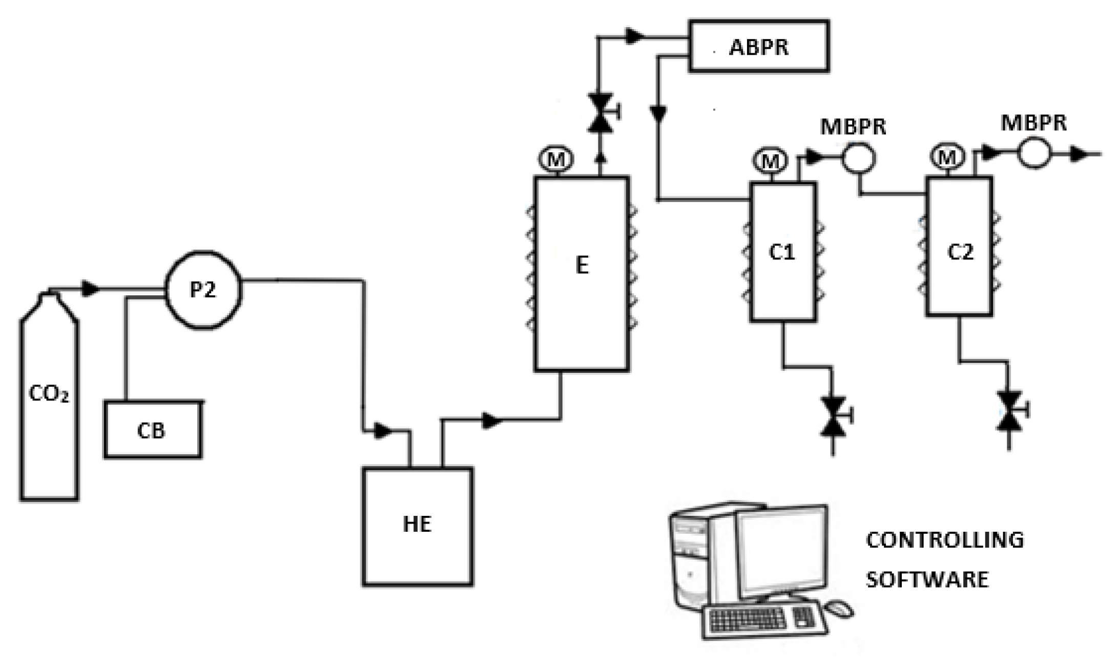 Ijms 22 09351 g005 Ijms 22 09351 g005