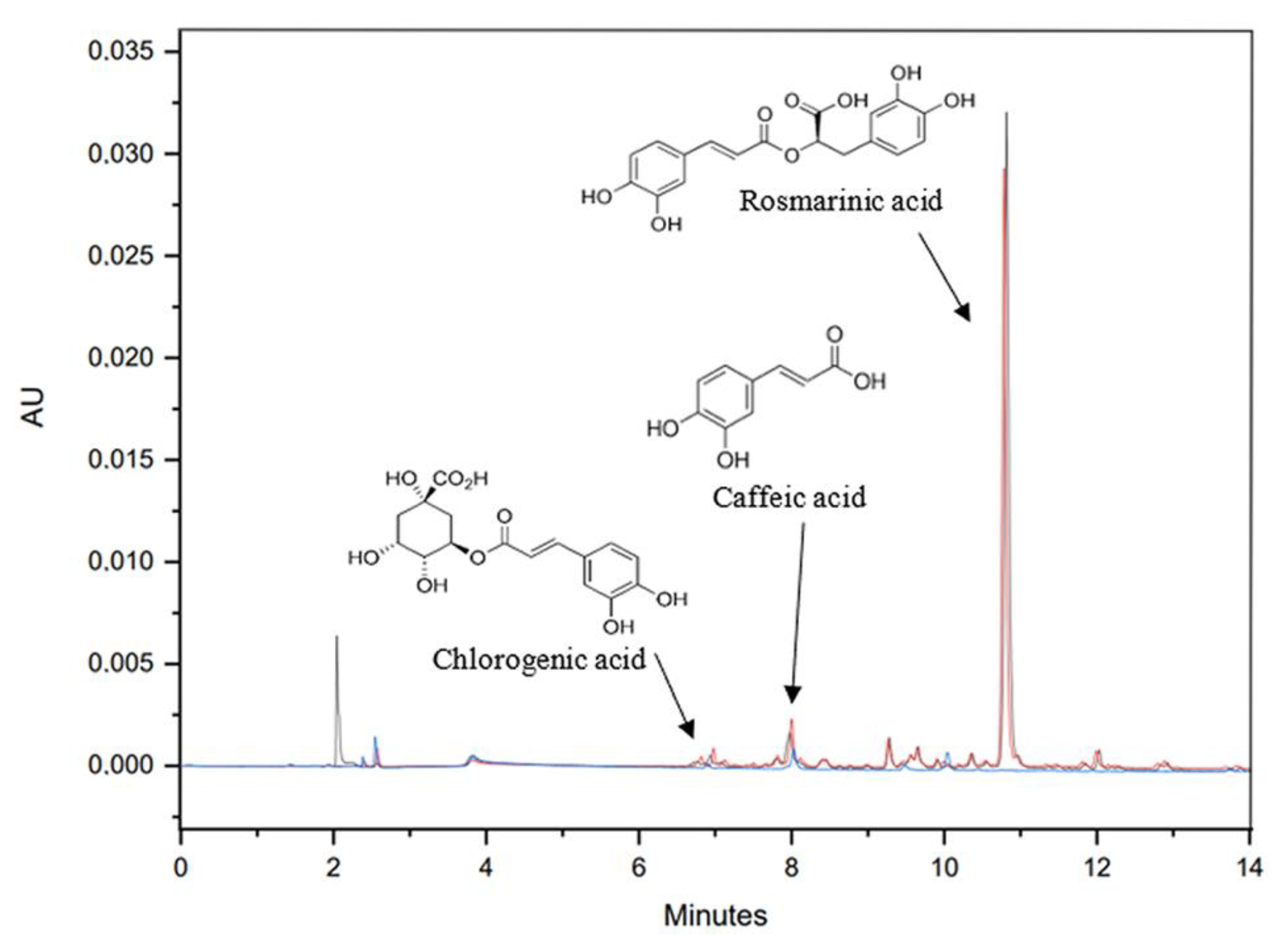 Ijms 22 09351 g006 Ijms 22 09351 g006
