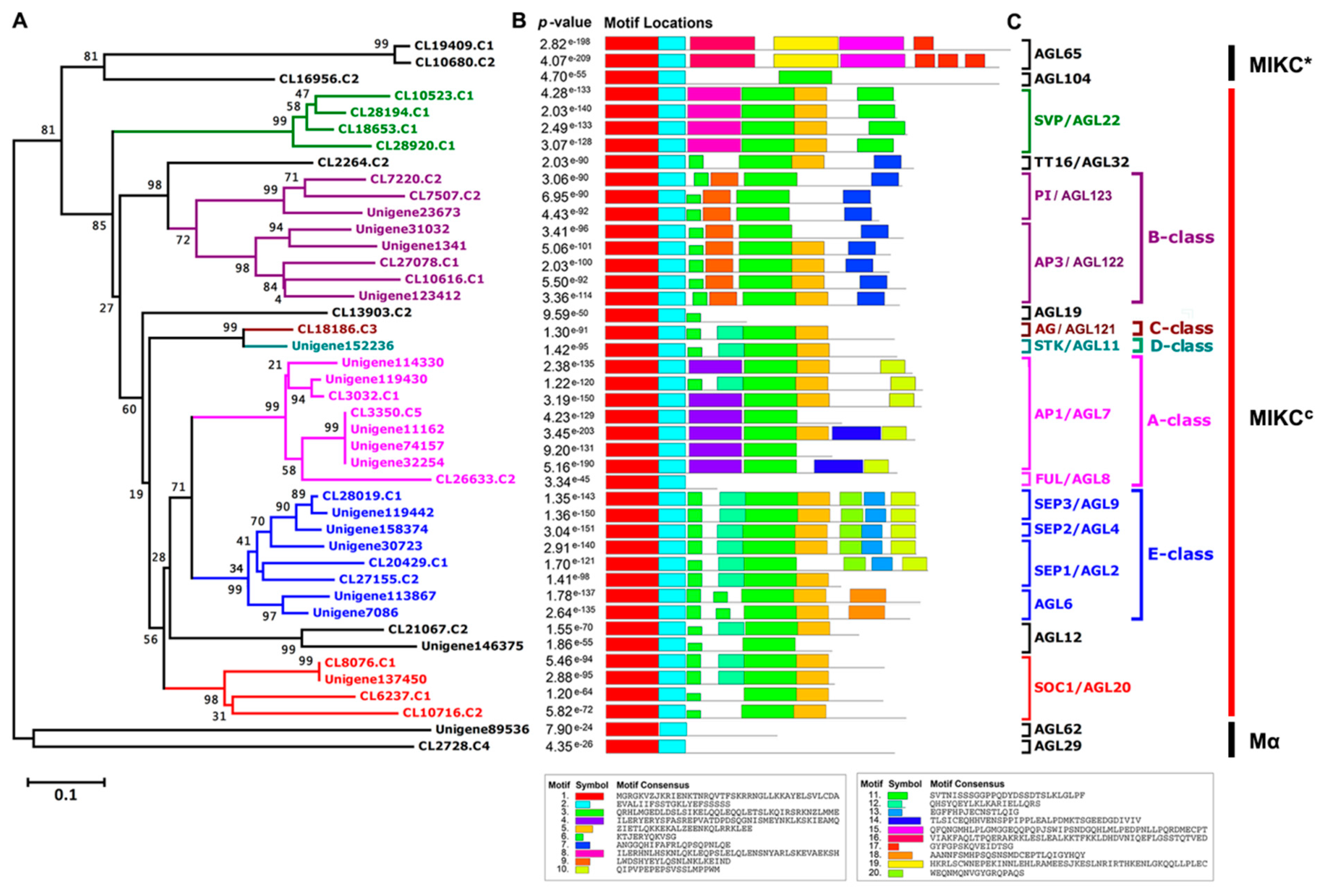 Ijms 22 09362 g001 Ijms 22 09362 g001