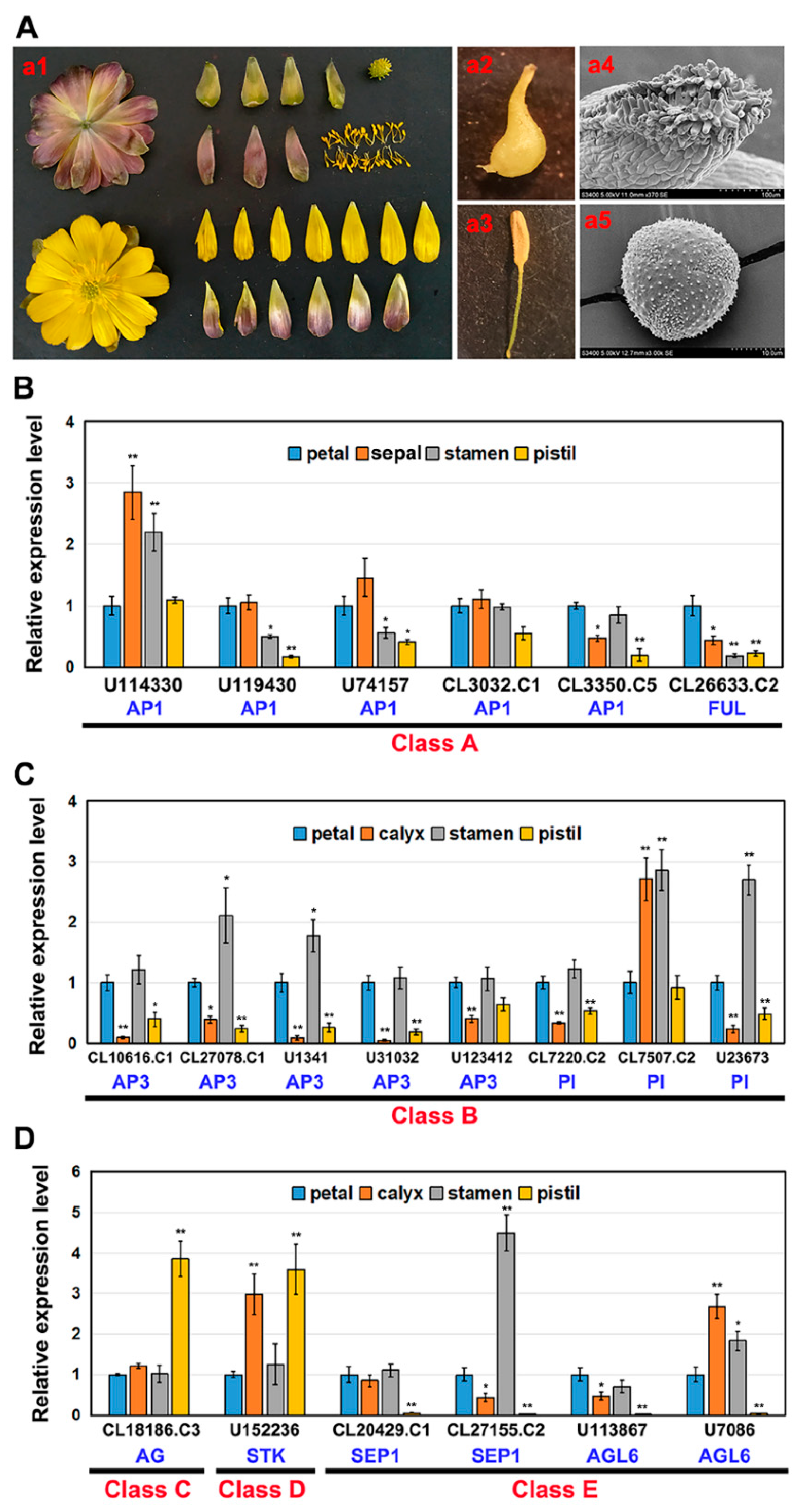 Ijms 22 09362 g004 Ijms 22 09362 g004