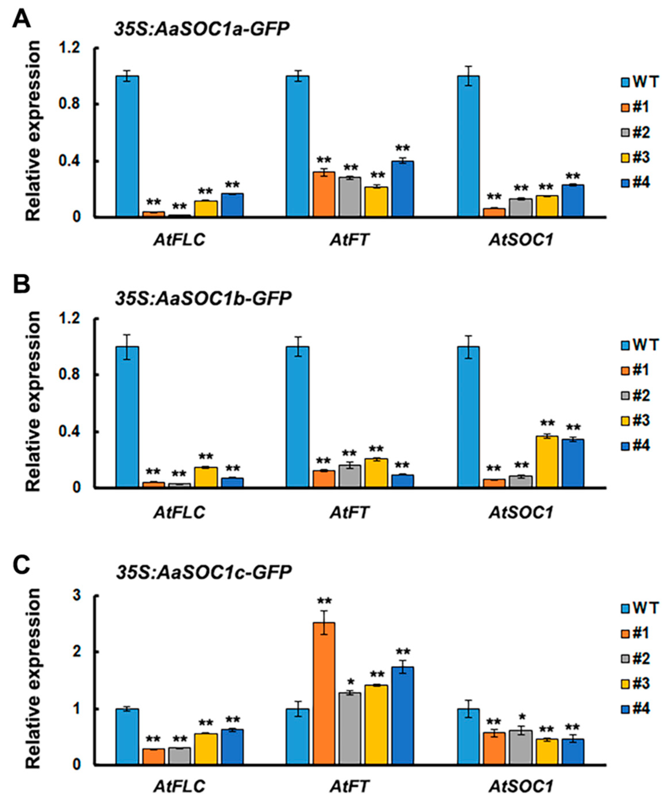 Ijms 22 09362 g007 Ijms 22 09362 g007