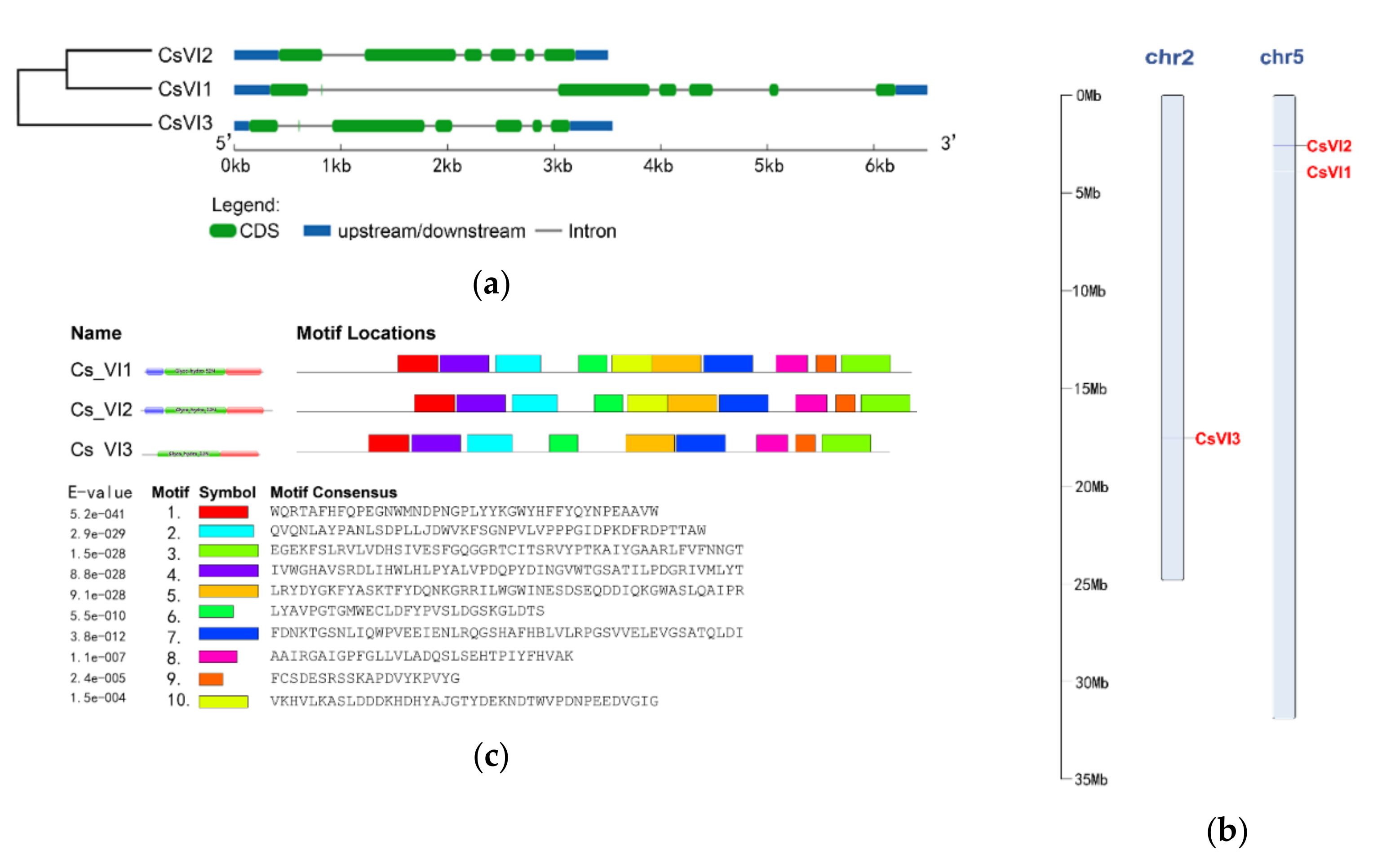 Ijms 22 09365 g003 Ijms 22 09365 g003