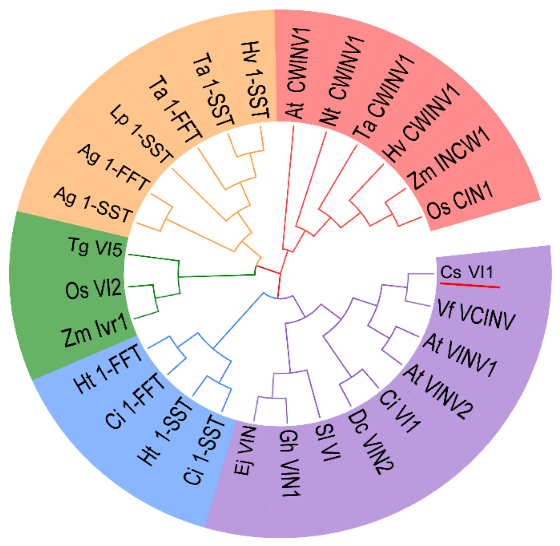 Ijms 22 09365 g006 Ijms 22 09365 g006