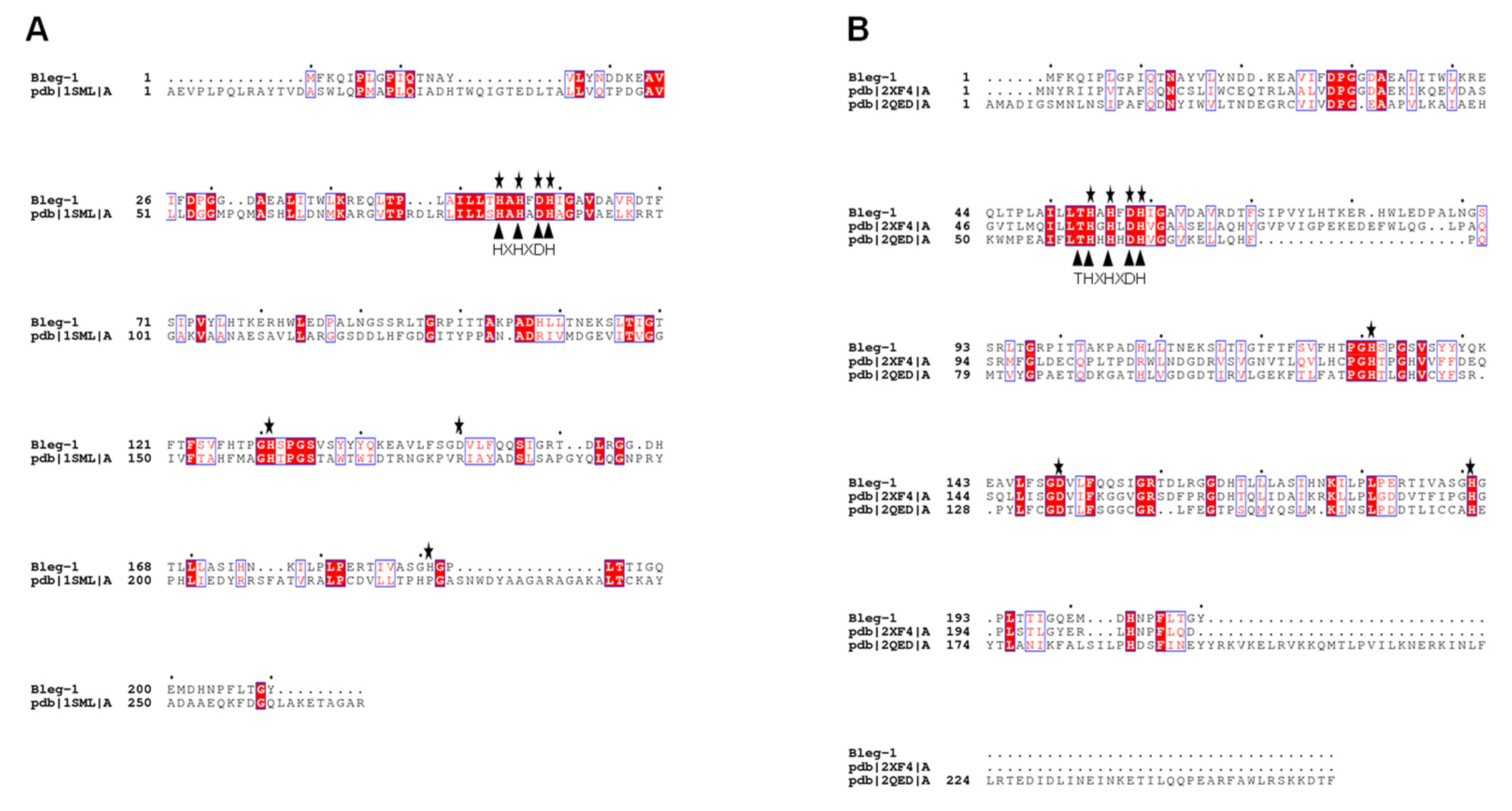 Ijms 22 09377 g003 Ijms 22 09377 g003