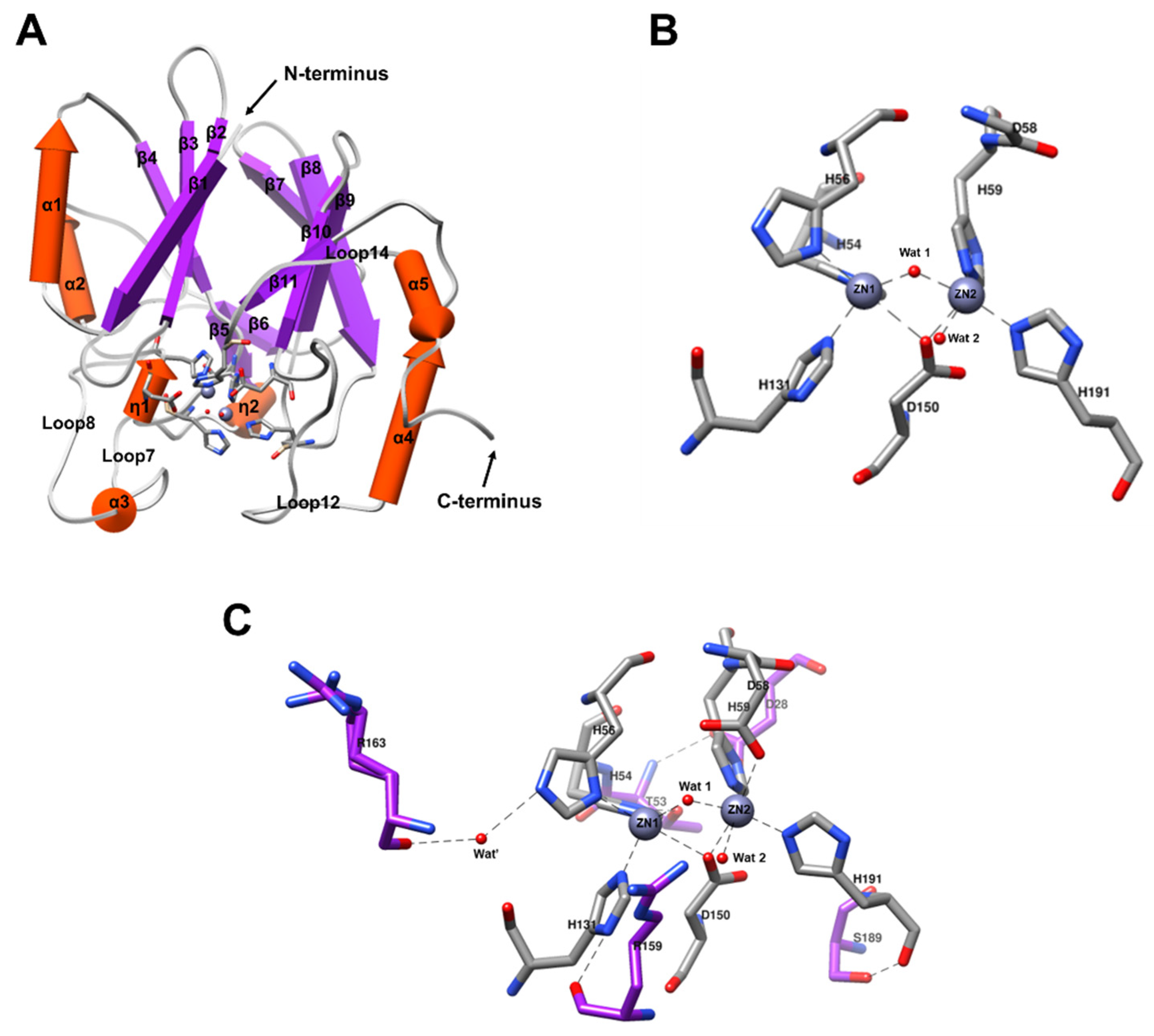 Ijms 22 09377 g005 Ijms 22 09377 g005