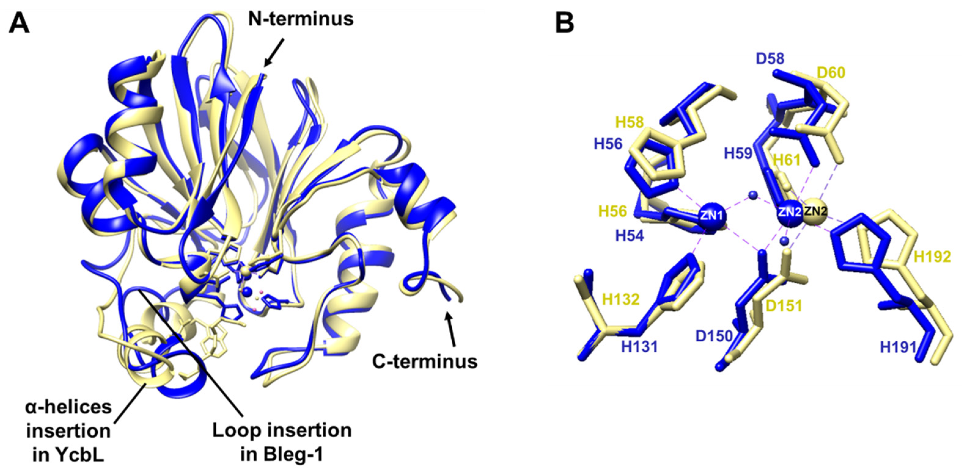 Ijms 22 09377 g007 Ijms 22 09377 g007