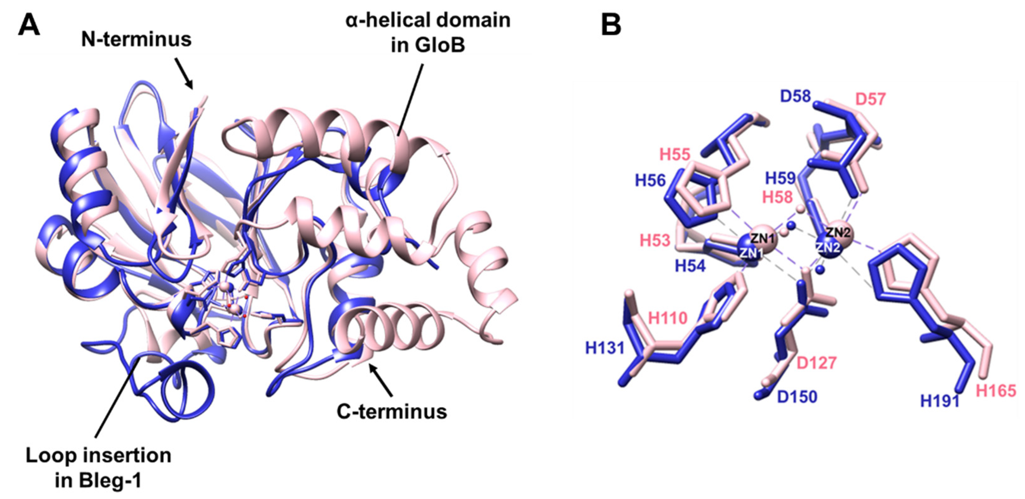 Ijms 22 09377 g008 Ijms 22 09377 g008